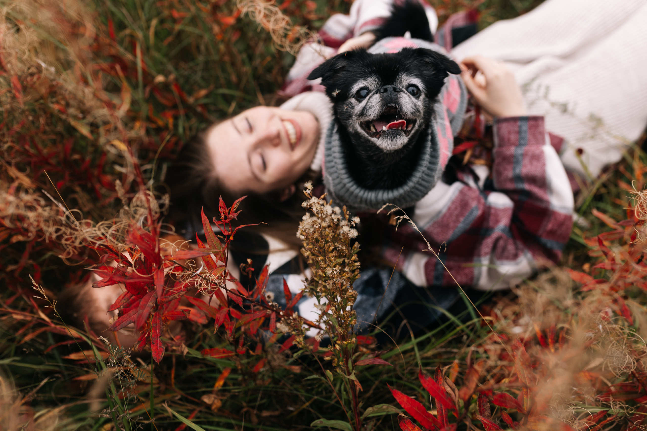 Яна&Миша Lovestory (Свадьба: Это Судьба). Wed Photographers 📷 Saint Petersburg