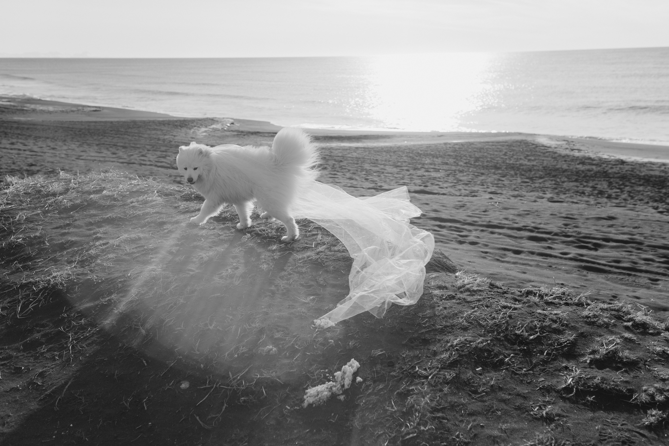 Камчатка: Океан. Wed Photographers 📷 Saint Petersburg