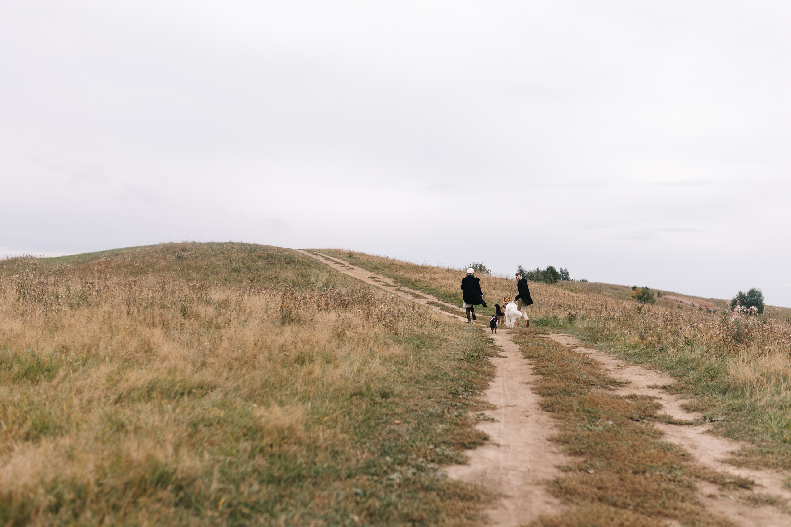 Яна&Миша Lovestory (Свадьба: Это Судьба). Wed Photographers 📷 Saint Petersburg