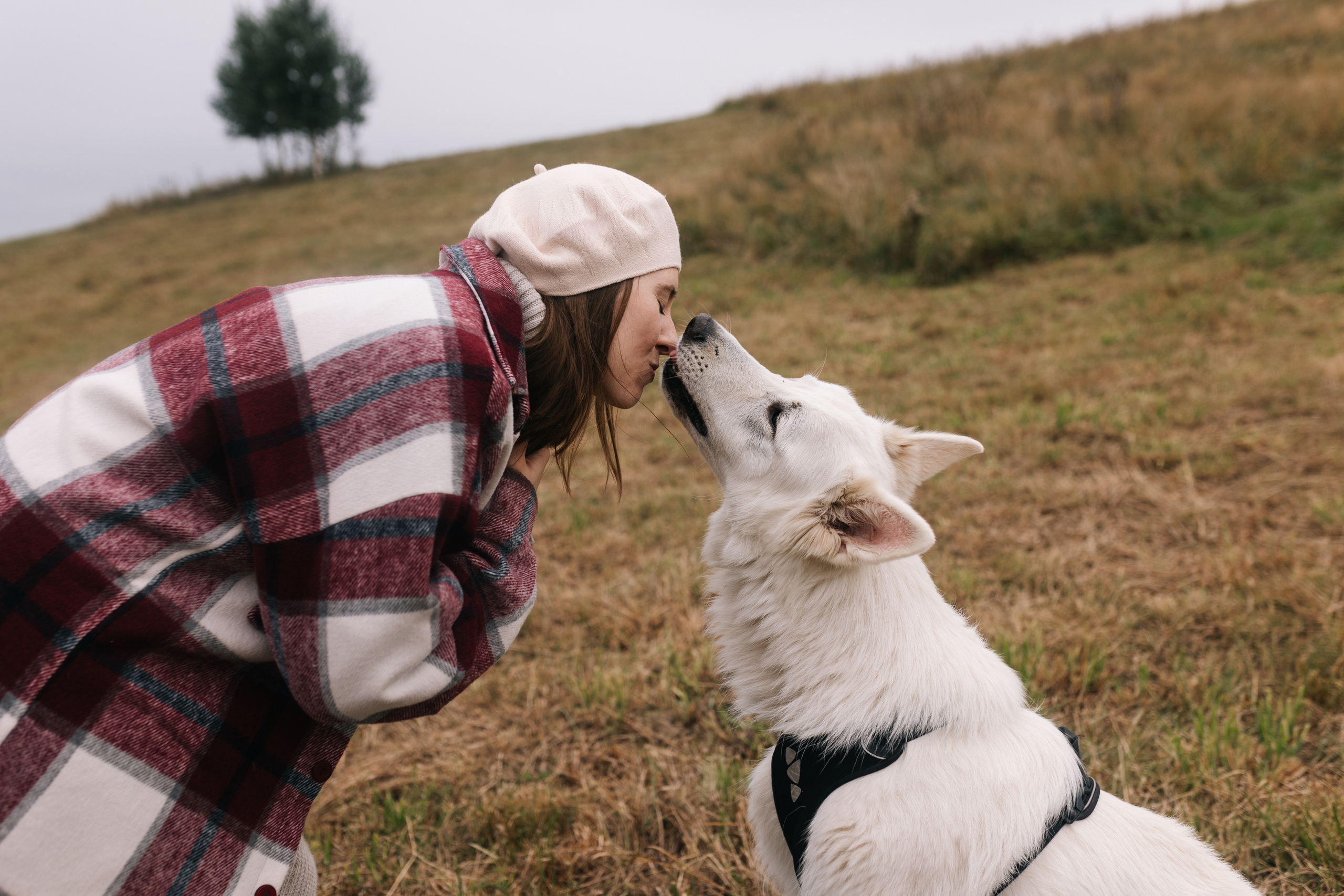 Яна&Миша Lovestory (Свадьба: Это Судьба). Wed Photographers 📷 Saint Petersburg