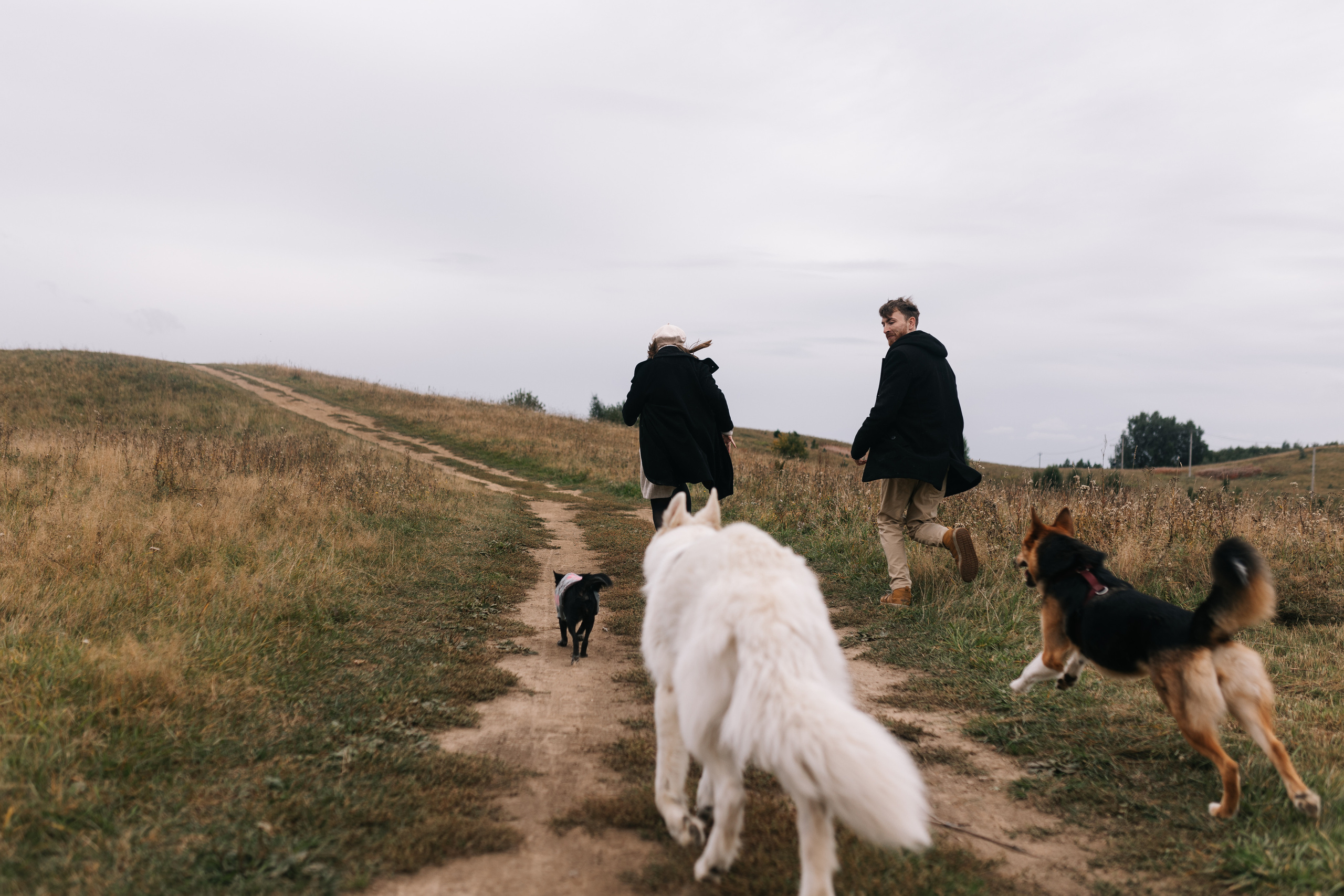 Яна&Миша Lovestory (Свадьба: Это Судьба). Wed Photographers 📷 Saint Petersburg