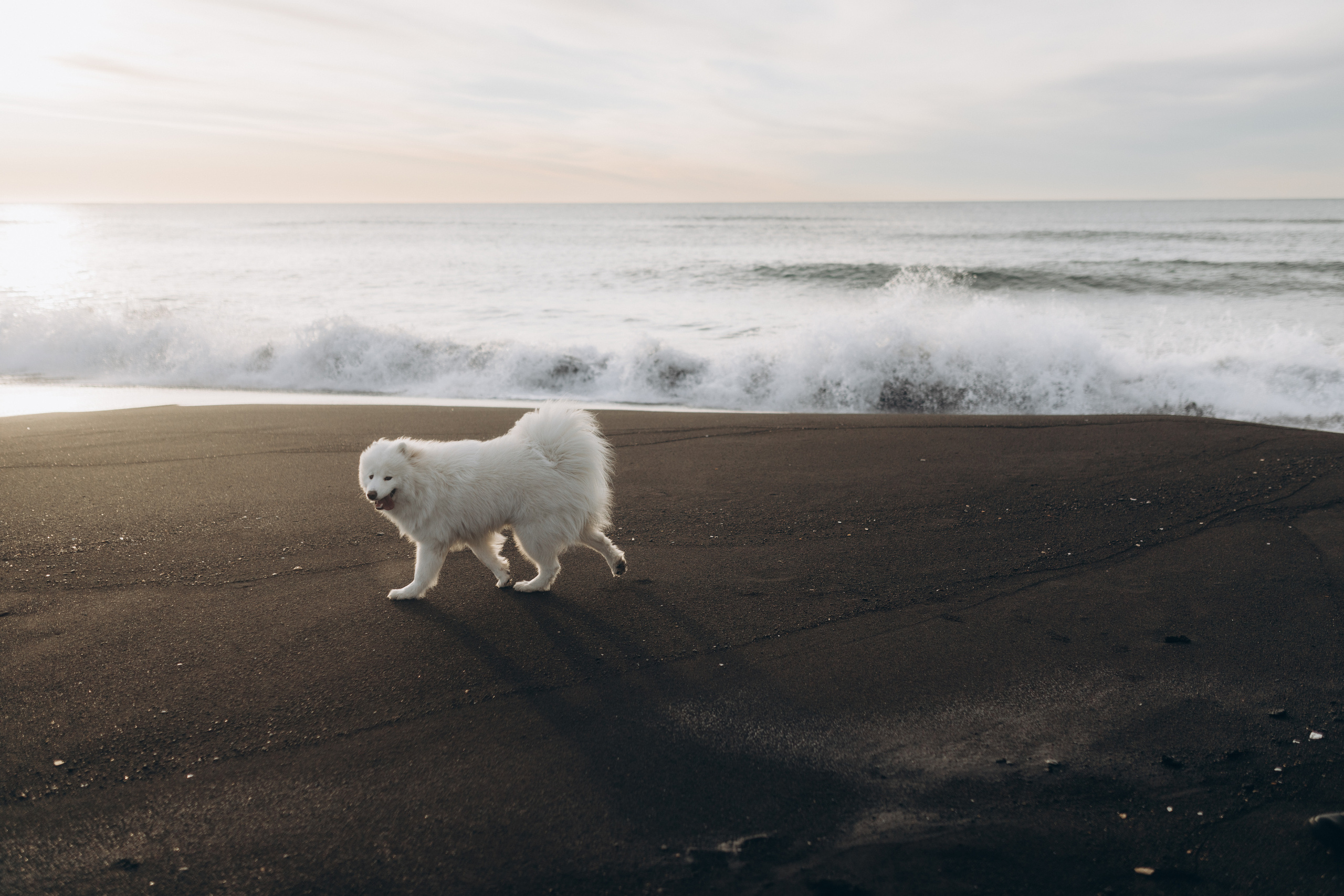 Камчатка: Океан. Wed Photographers 📷 Saint Petersburg