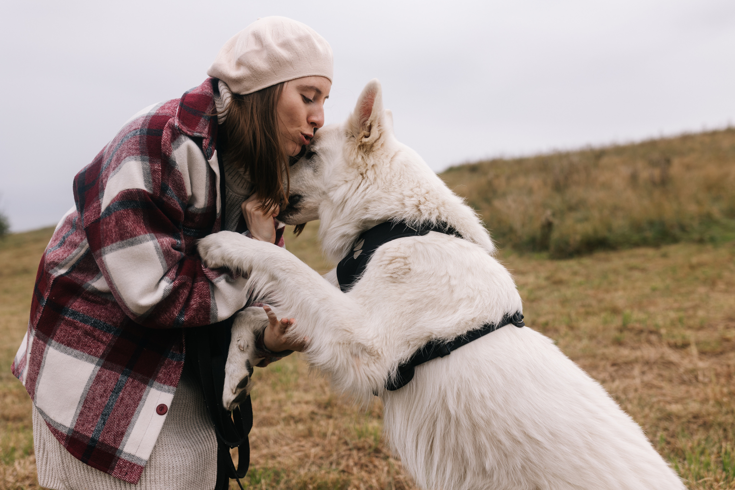 Яна&Миша Lovestory (Свадьба: Это Судьба). Wed Photographers 📷 Saint Petersburg