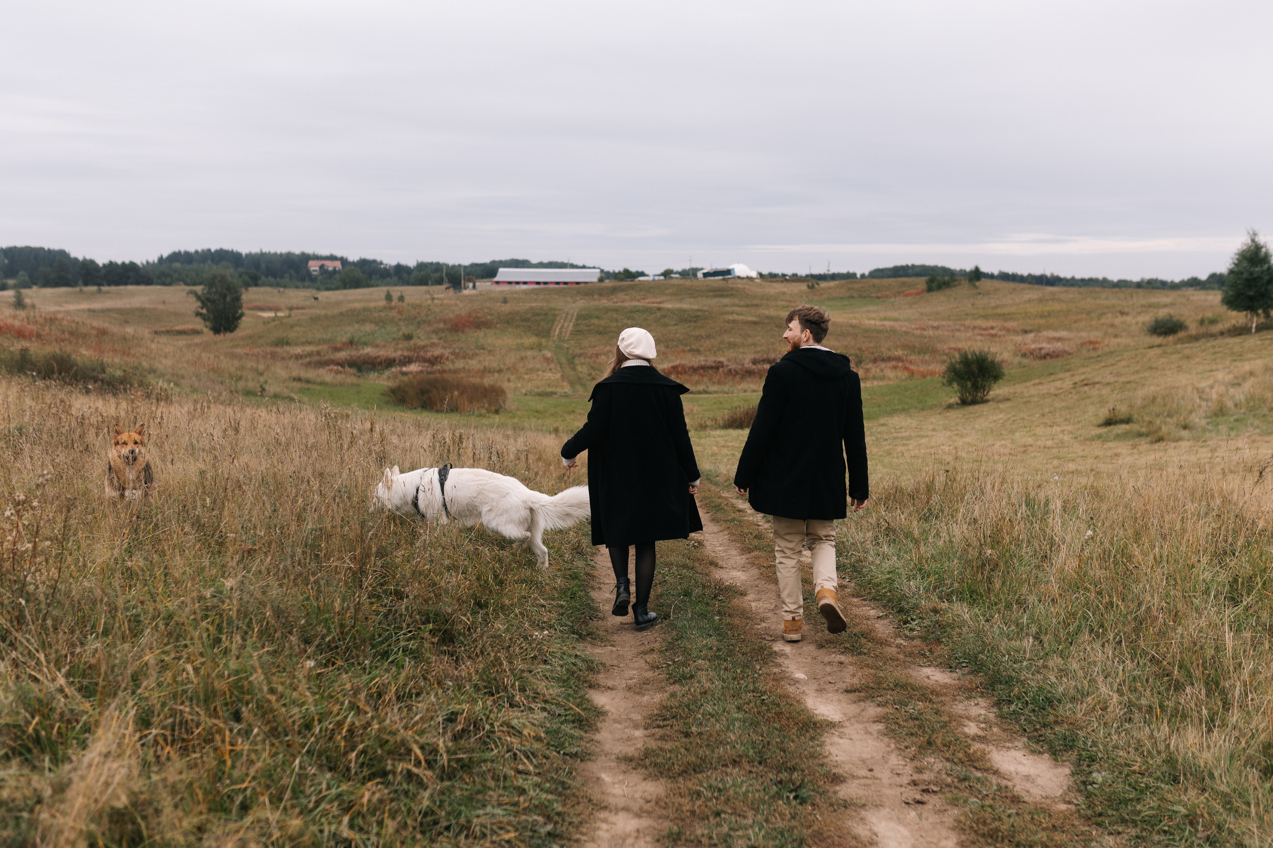 Яна&Миша Lovestory (Свадьба: Это Судьба). Wed Photographers 📷 Saint Petersburg