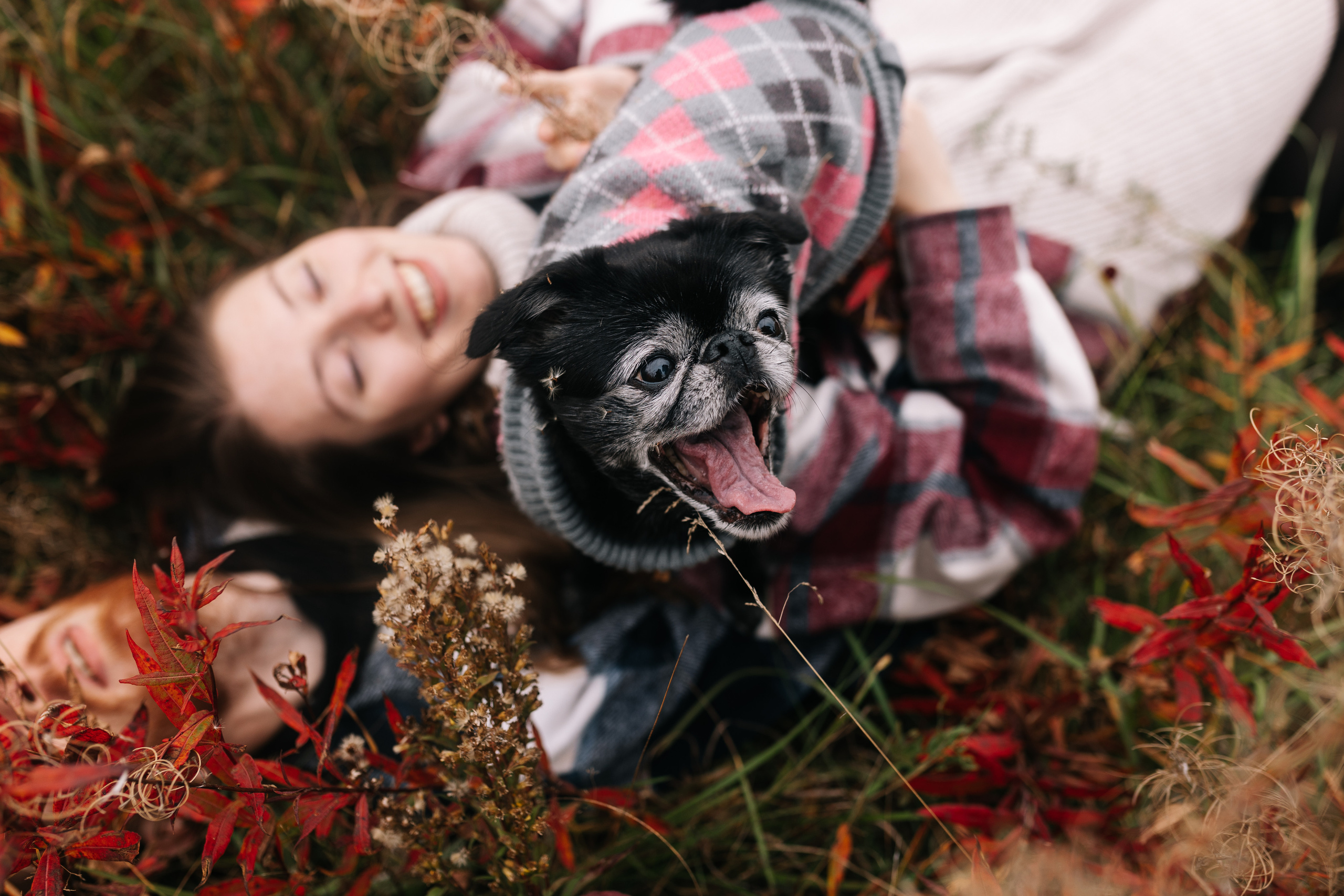 Яна&Миша Lovestory (Свадьба: Это Судьба). Wed Photographers 📷 Saint Petersburg