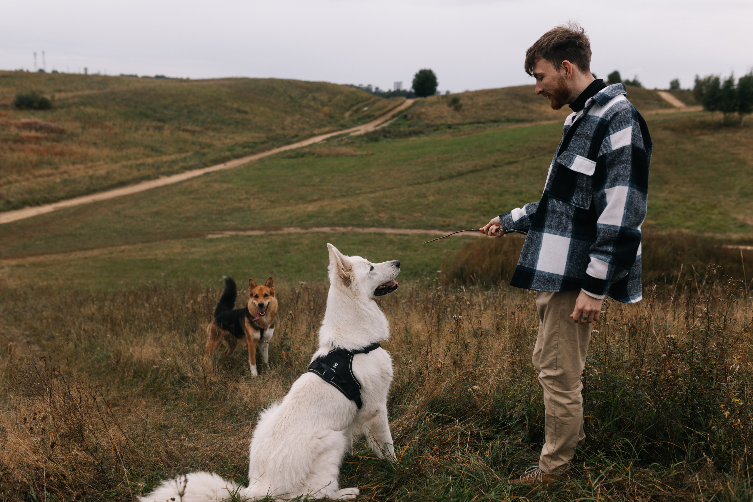 Яна&Миша Lovestory (Свадьба: Это Судьба). Wed Photographers 📷 Saint Petersburg