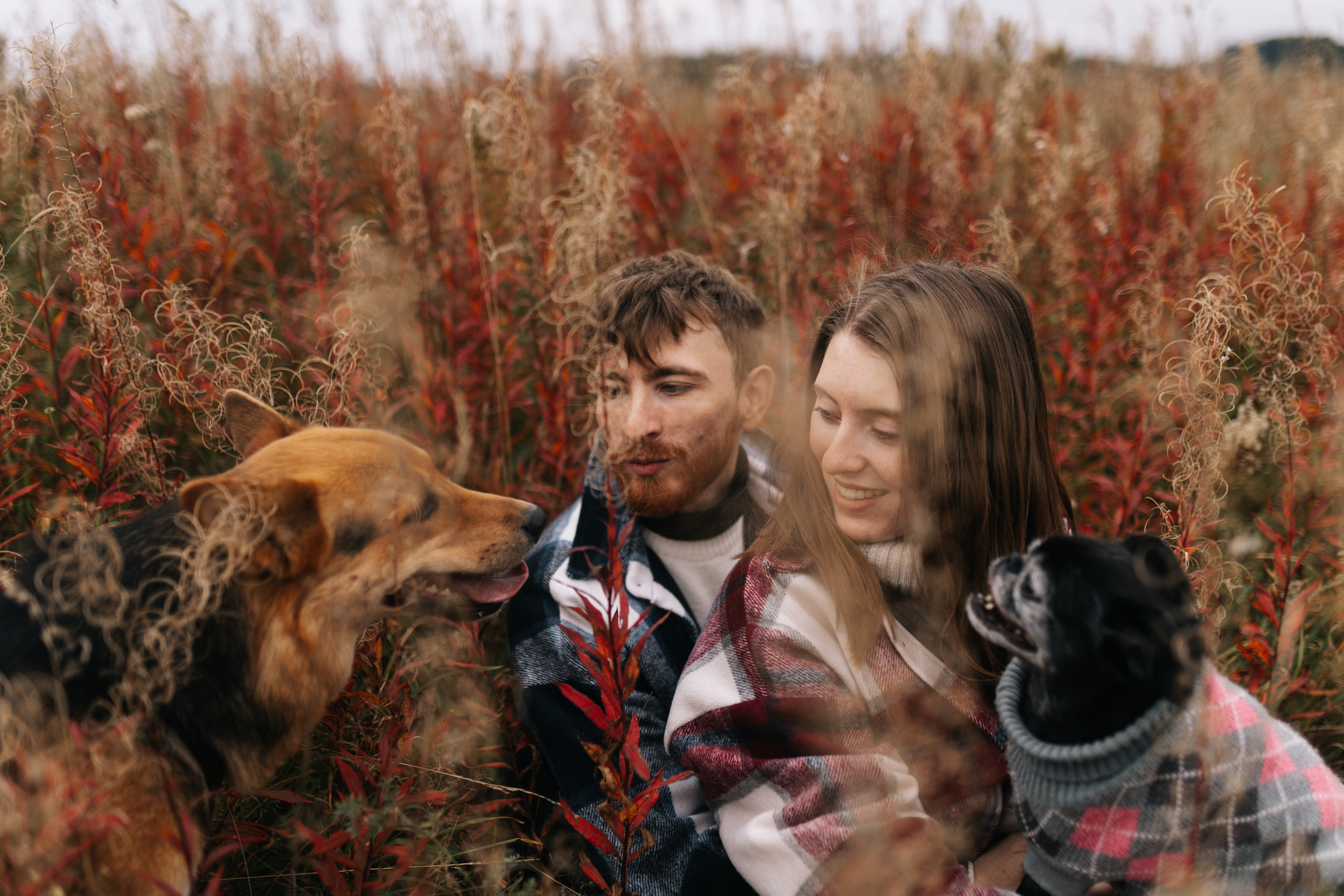 Яна&Миша Lovestory (Свадьба: Это Судьба). Wed Photographers 📷 Saint Petersburg