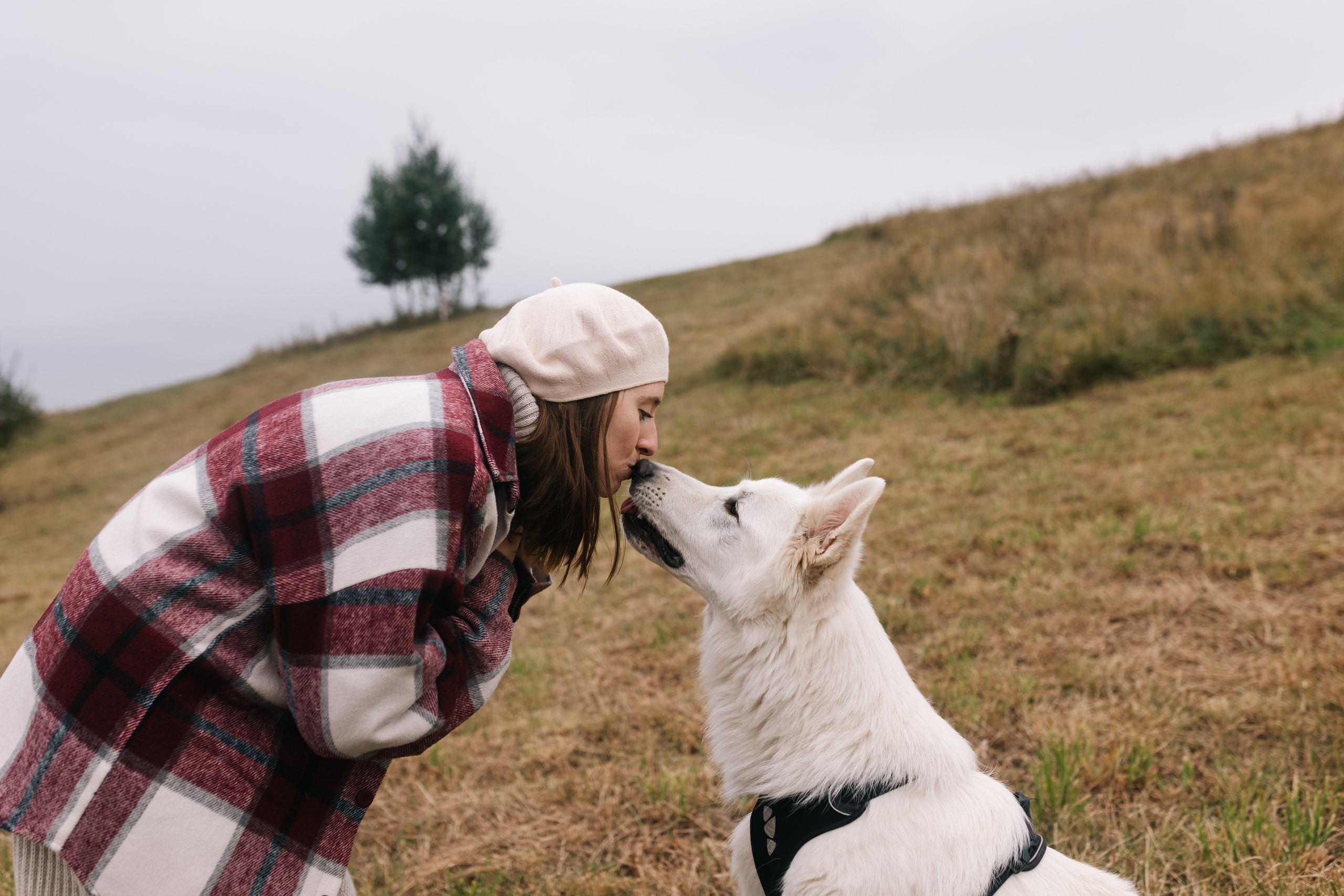 Яна&Миша Lovestory (Свадьба: Это Судьба). Wed Photographers 📷 Saint Petersburg