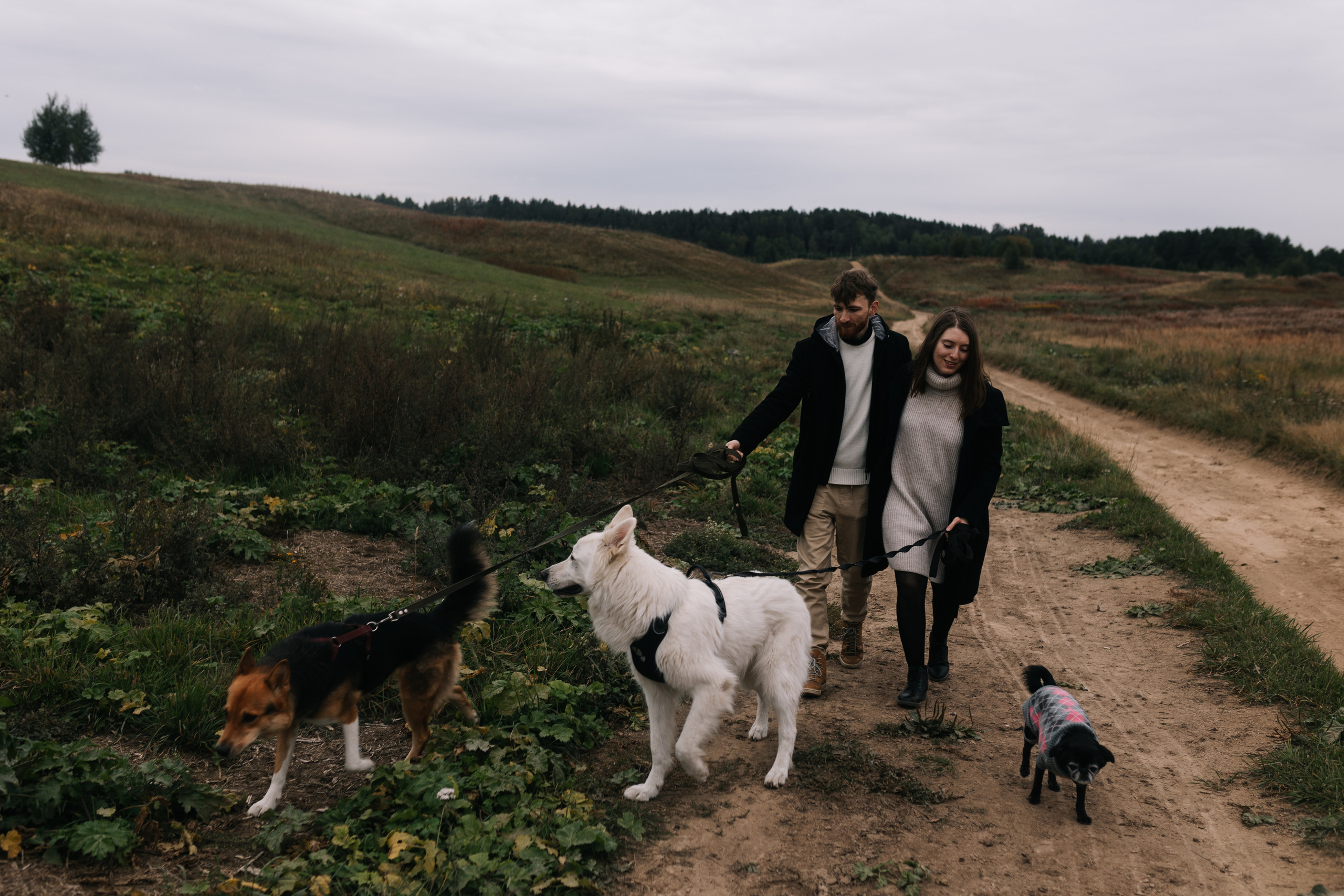 Яна&Миша Lovestory (Свадьба: Это Судьба). Wed Photographers 📷 Saint Petersburg