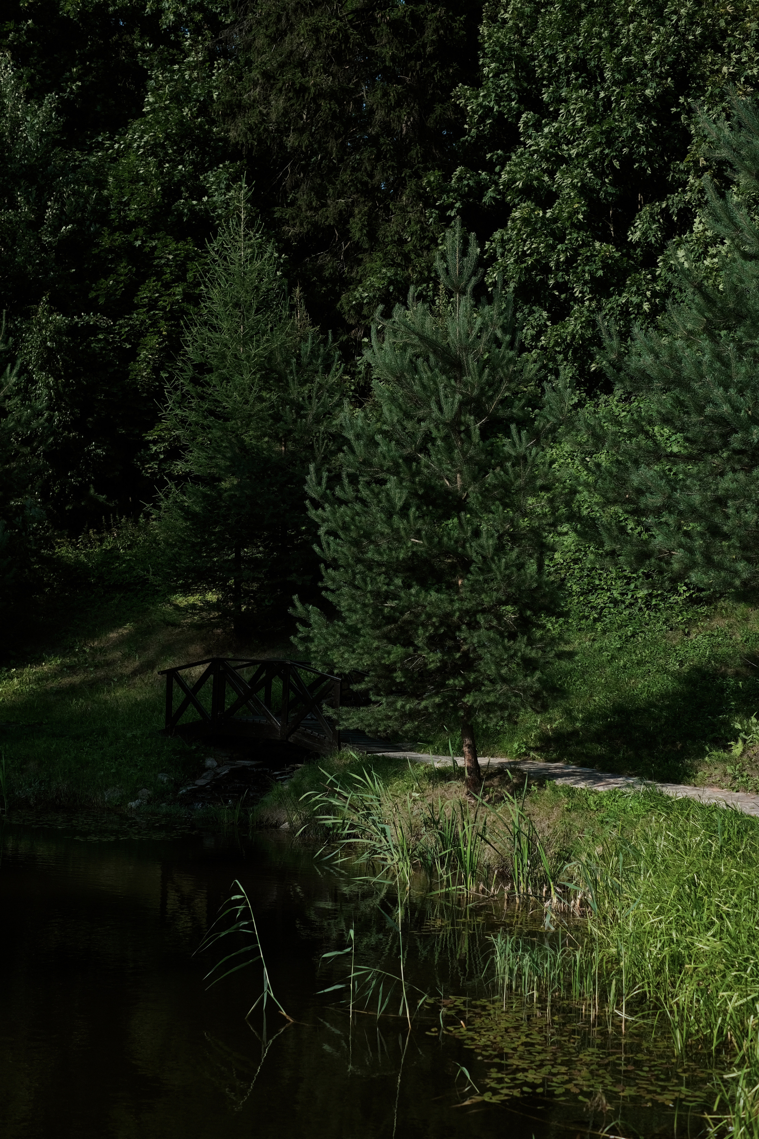 Gentlemen Prefer Blondes. Wed Photographers 📷 Saint Petersburg