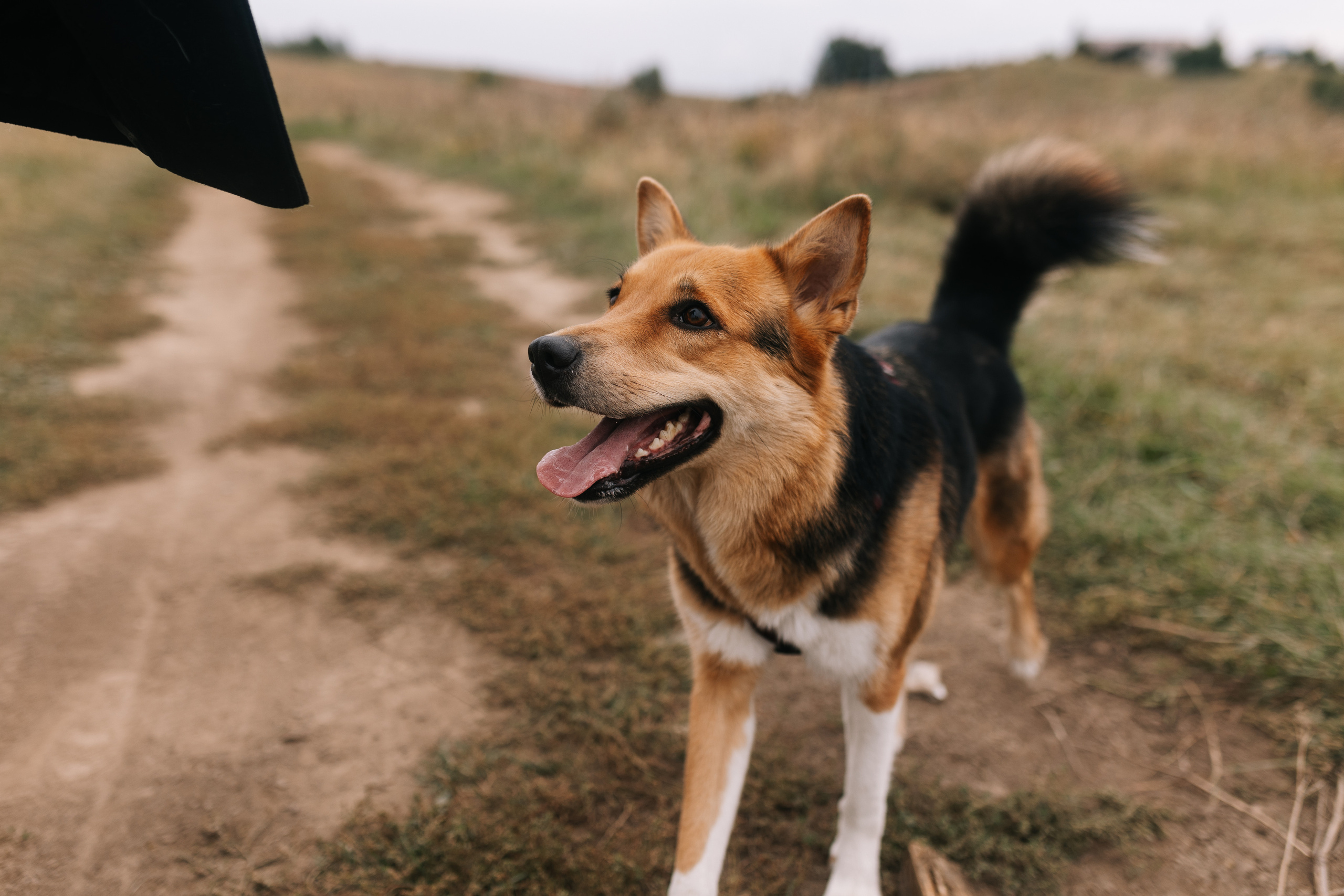 Яна&Миша Lovestory (Свадьба: Это Судьба). Wed Photographers 📷 Saint Petersburg