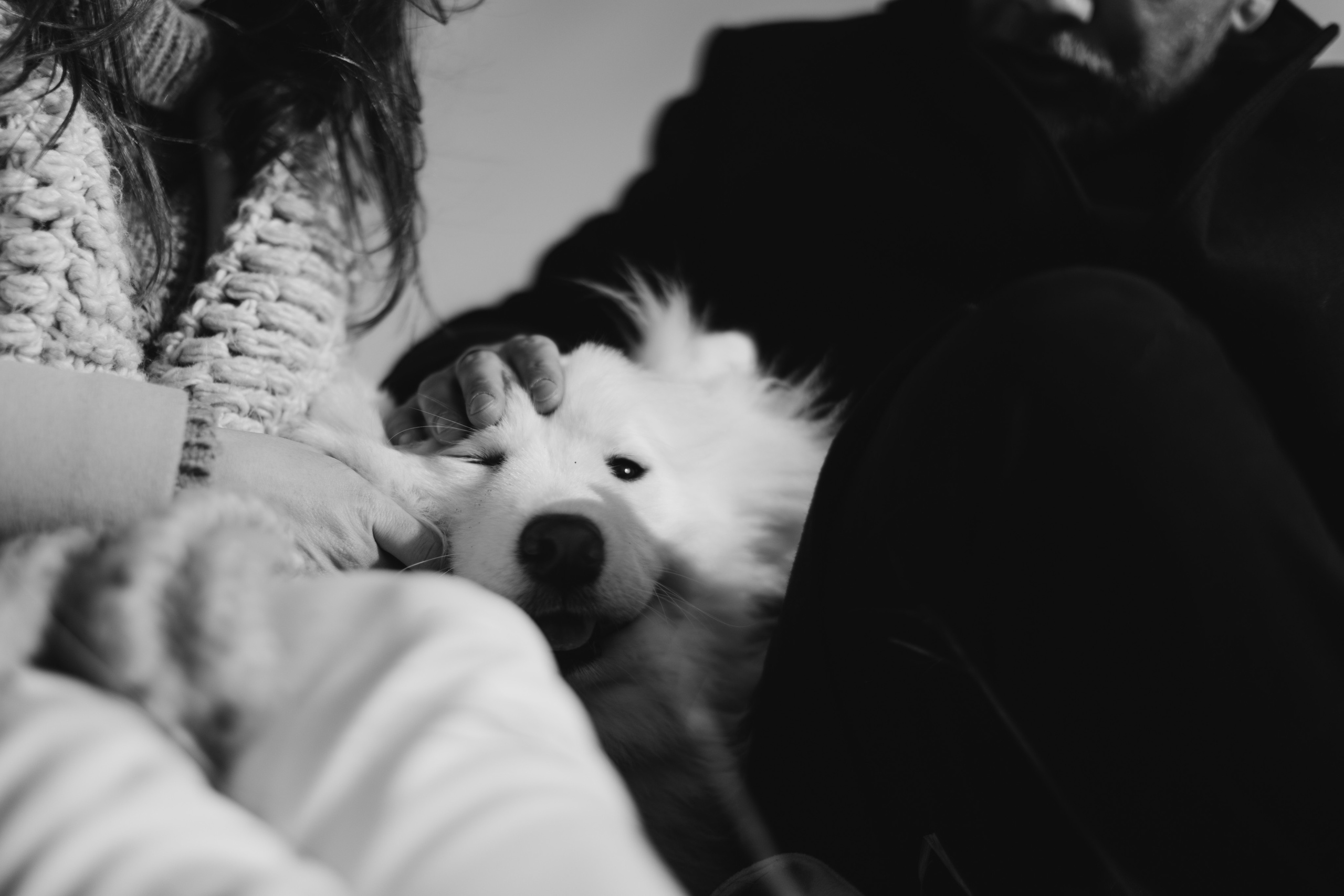 Камчатка: Океан. Wed Photographers 📷 Saint Petersburg