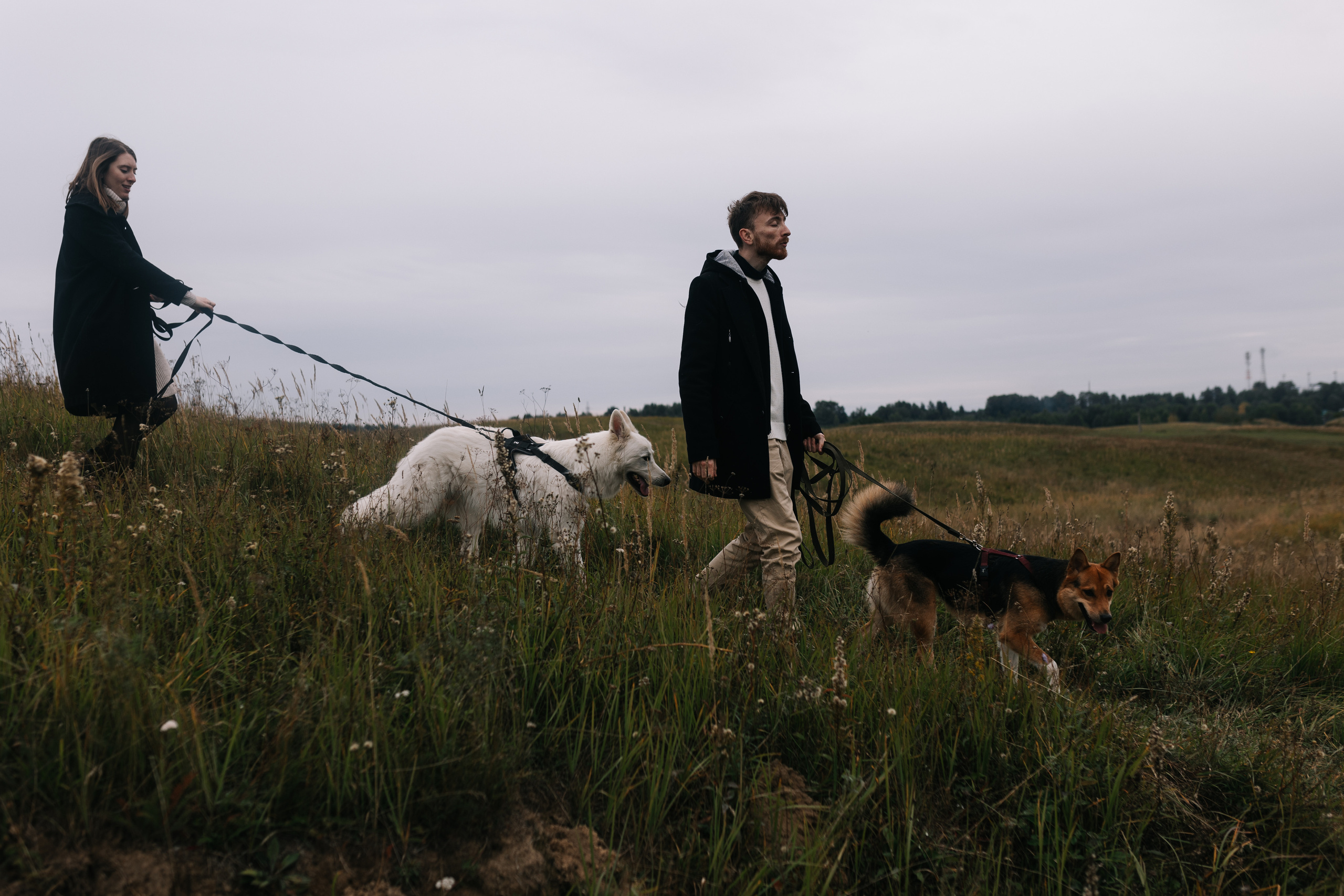 Яна&Миша Lovestory (Свадьба: Это Судьба). Wed Photographers 📷 Saint Petersburg