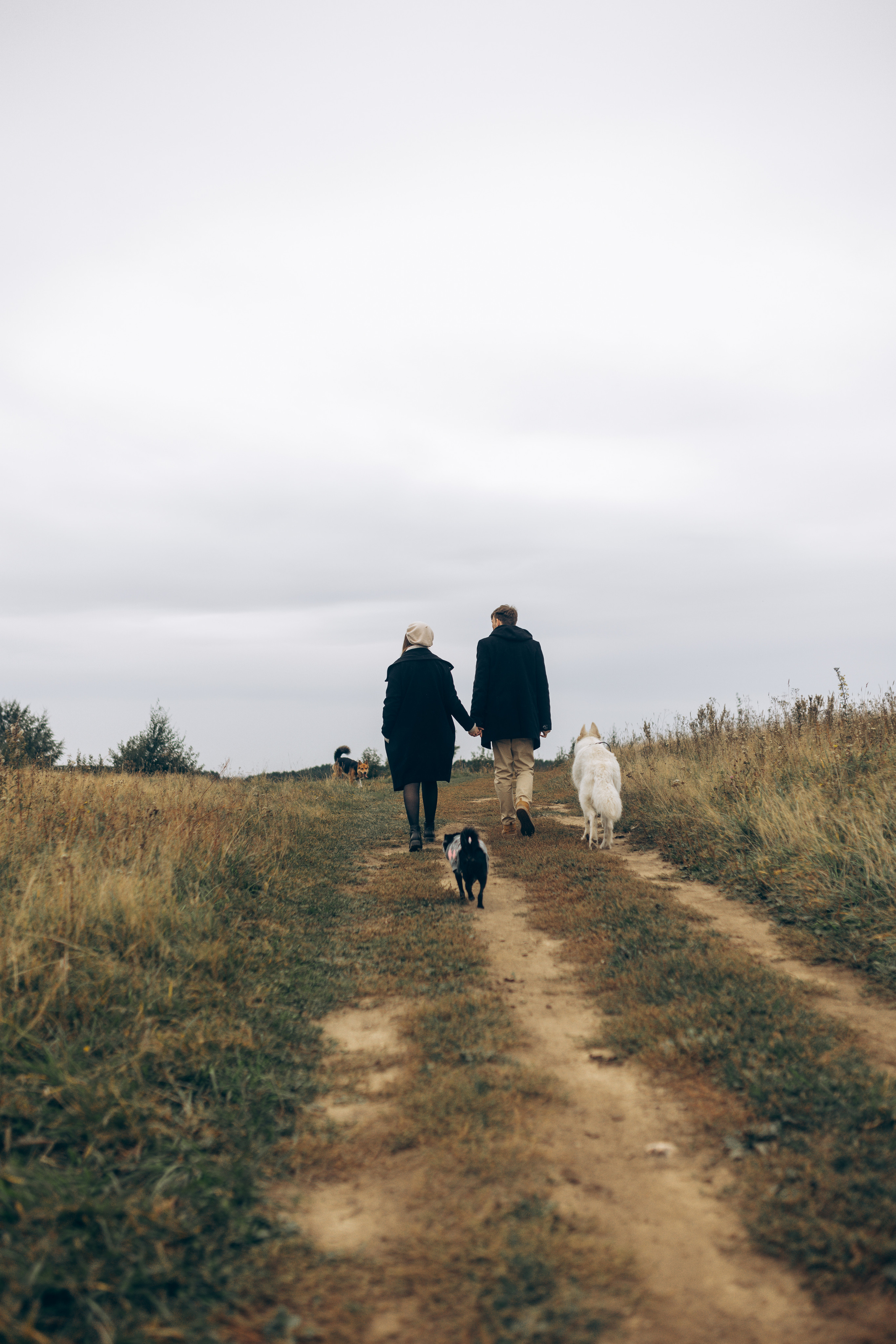 Яна&Миша Lovestory (Свадьба: Это Судьба). Wed Photographers 📷 Saint Petersburg