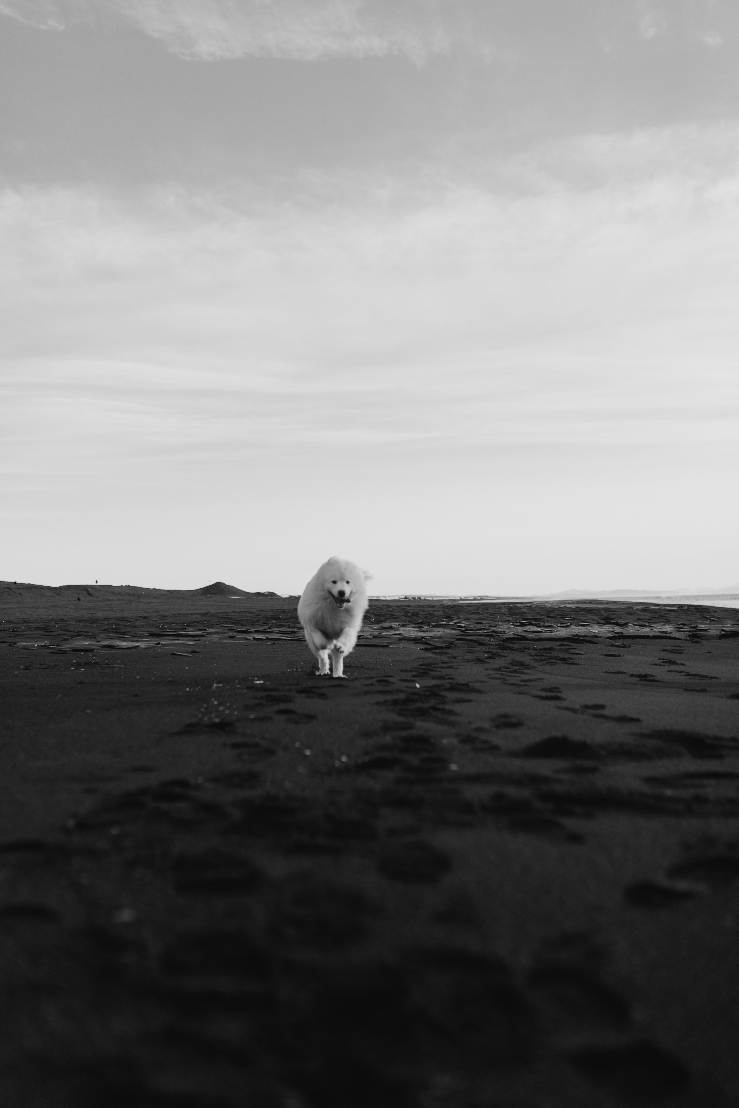 Камчатка: Океан. Wed Photographers 📷 Saint Petersburg