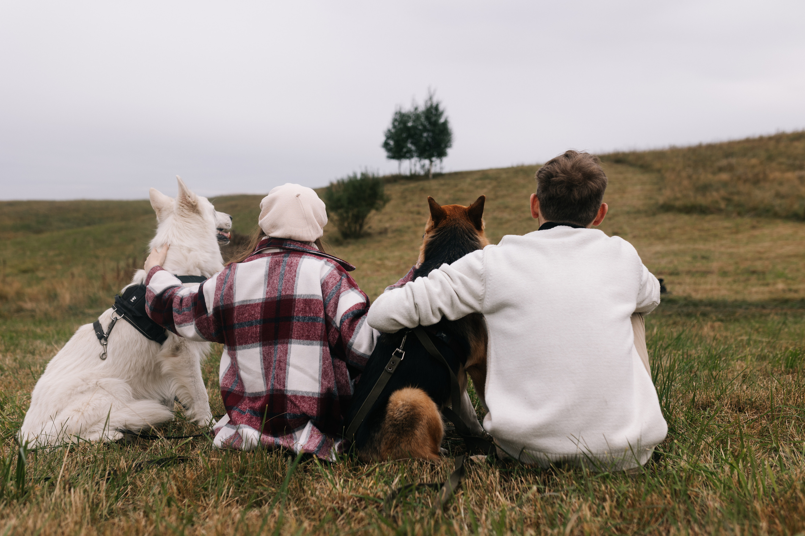 Яна&Миша Lovestory (Свадьба: Это Судьба). Wed Photographers 📷 Saint Petersburg