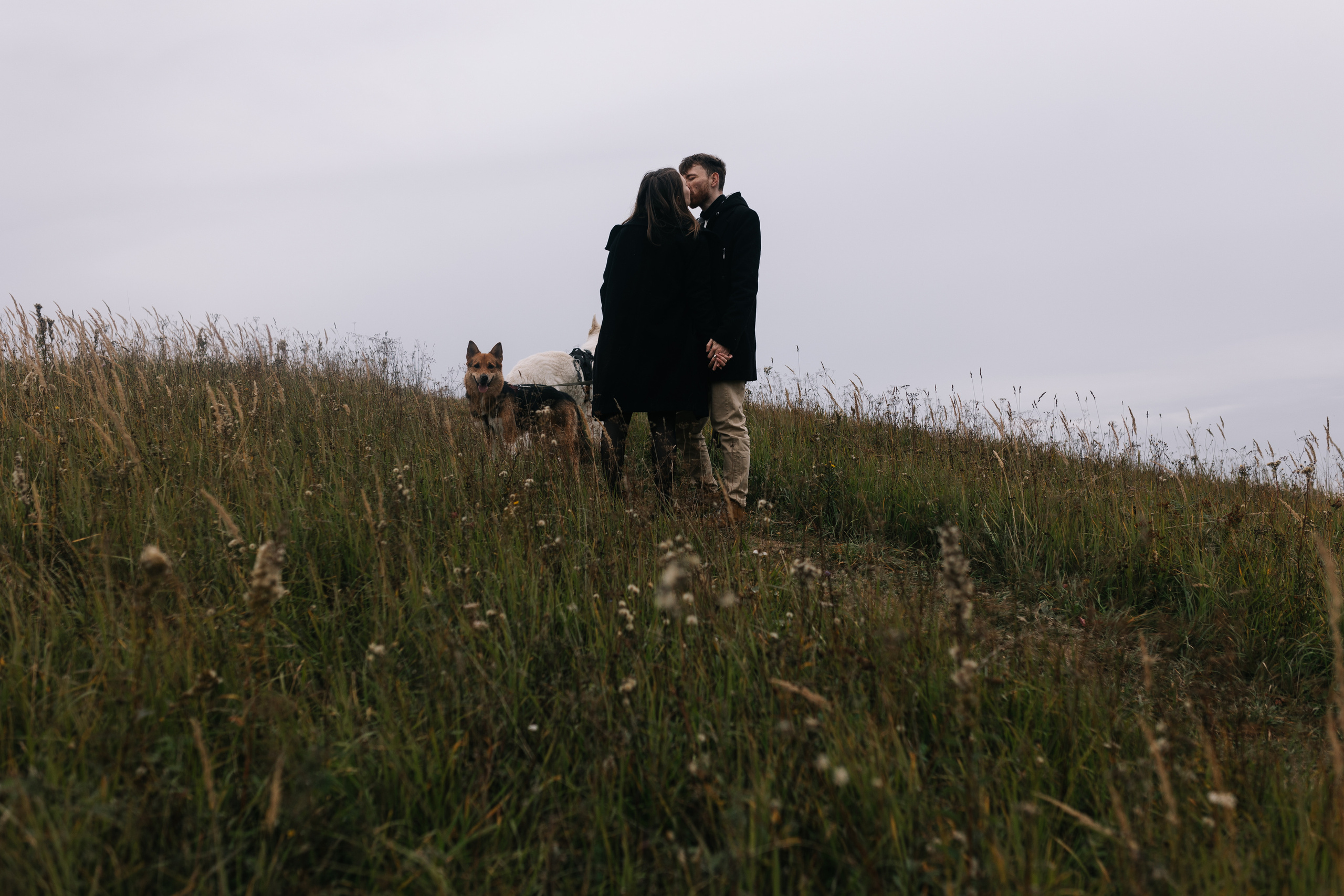 Яна&Миша Lovestory (Свадьба: Это Судьба). Wed Photographers 📷 Saint Petersburg