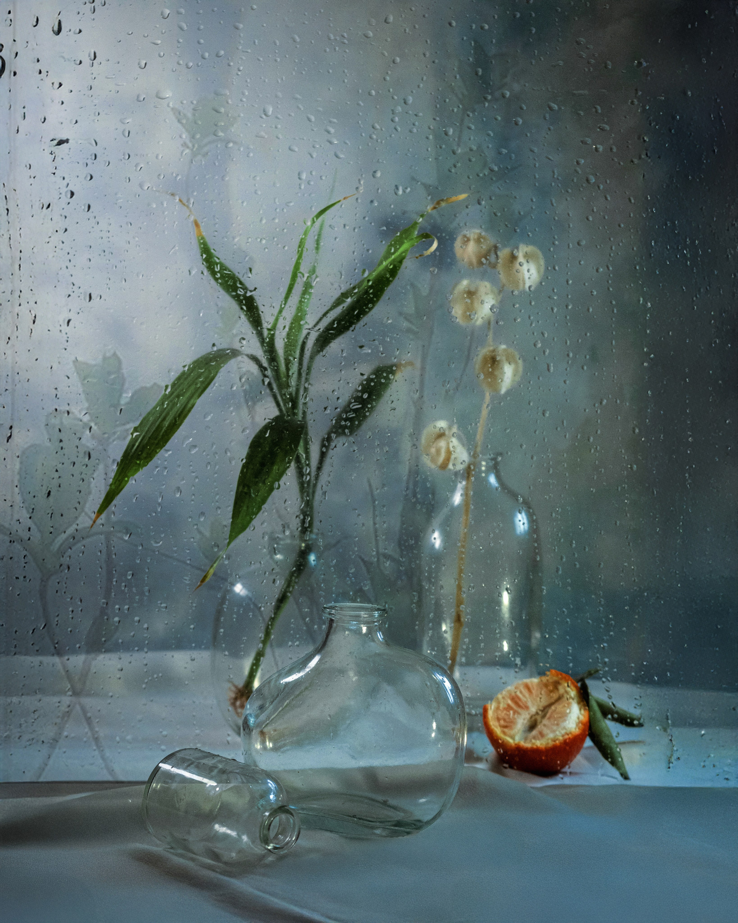 Art. Фотограф Алина Малина