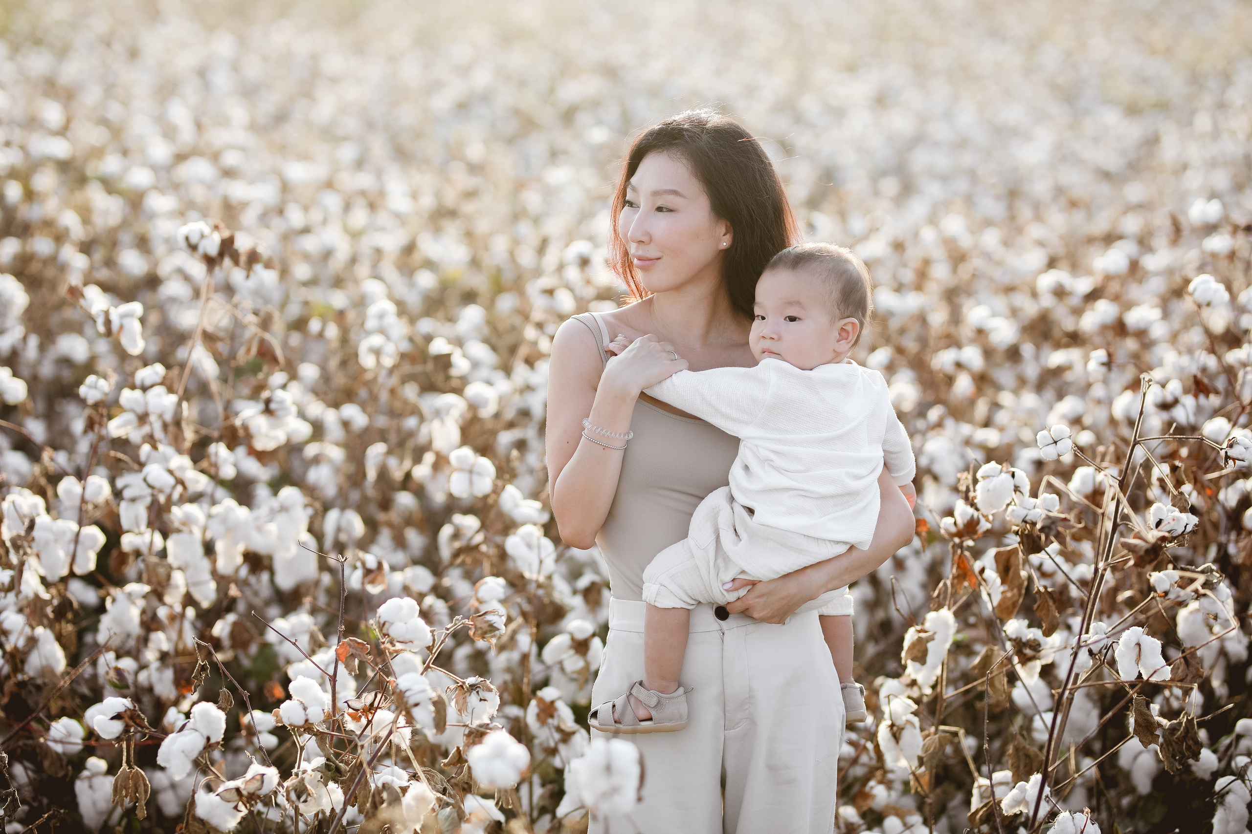 Photoshooting on cotton field