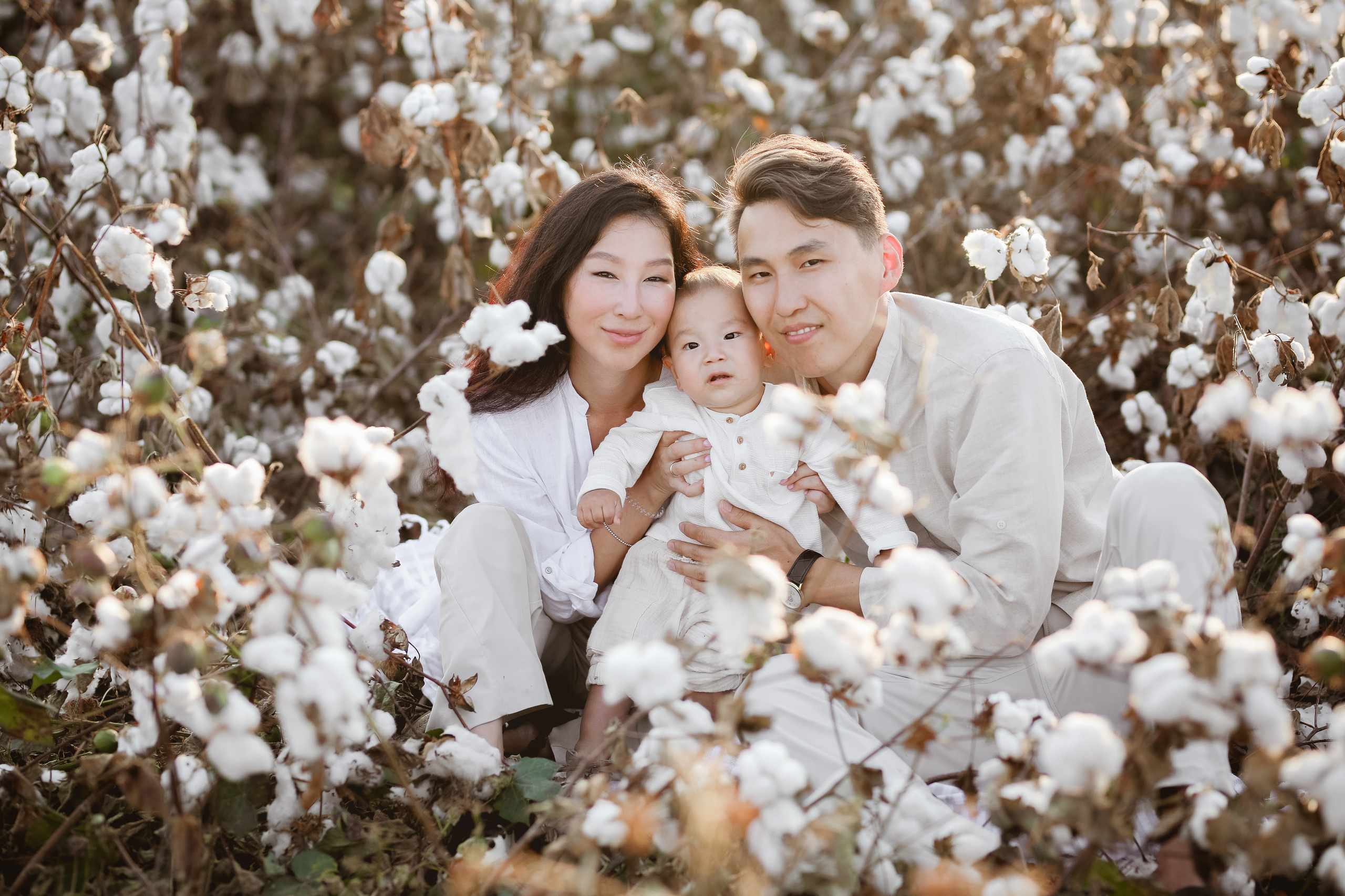 Photoshooting on cotton field