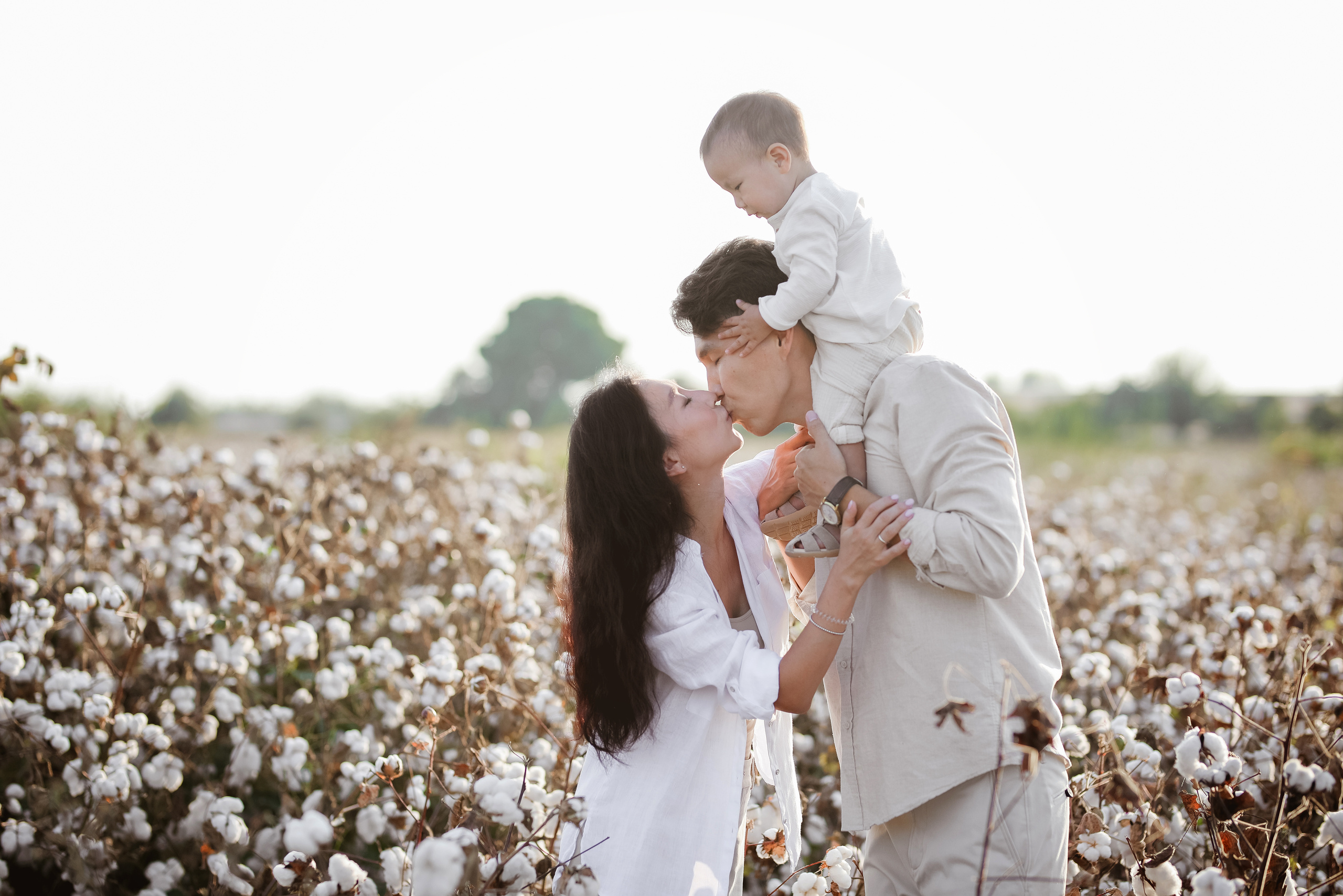 Photoshooting on cotton field