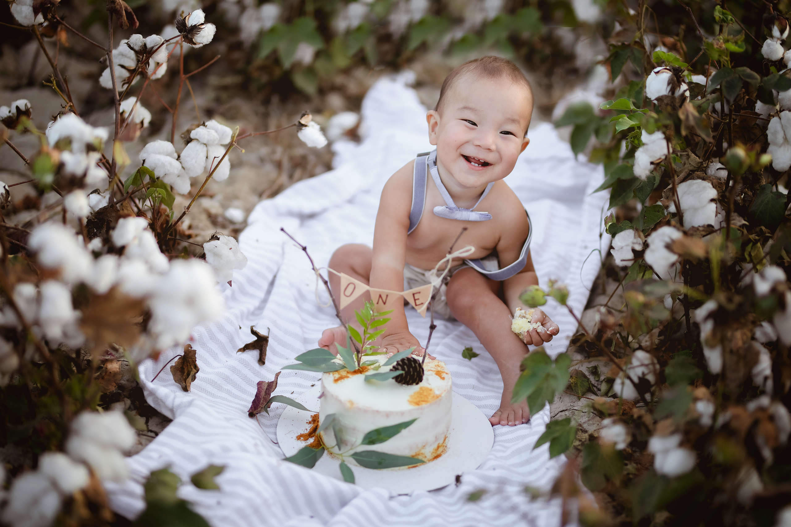 Photoshooting on cotton field