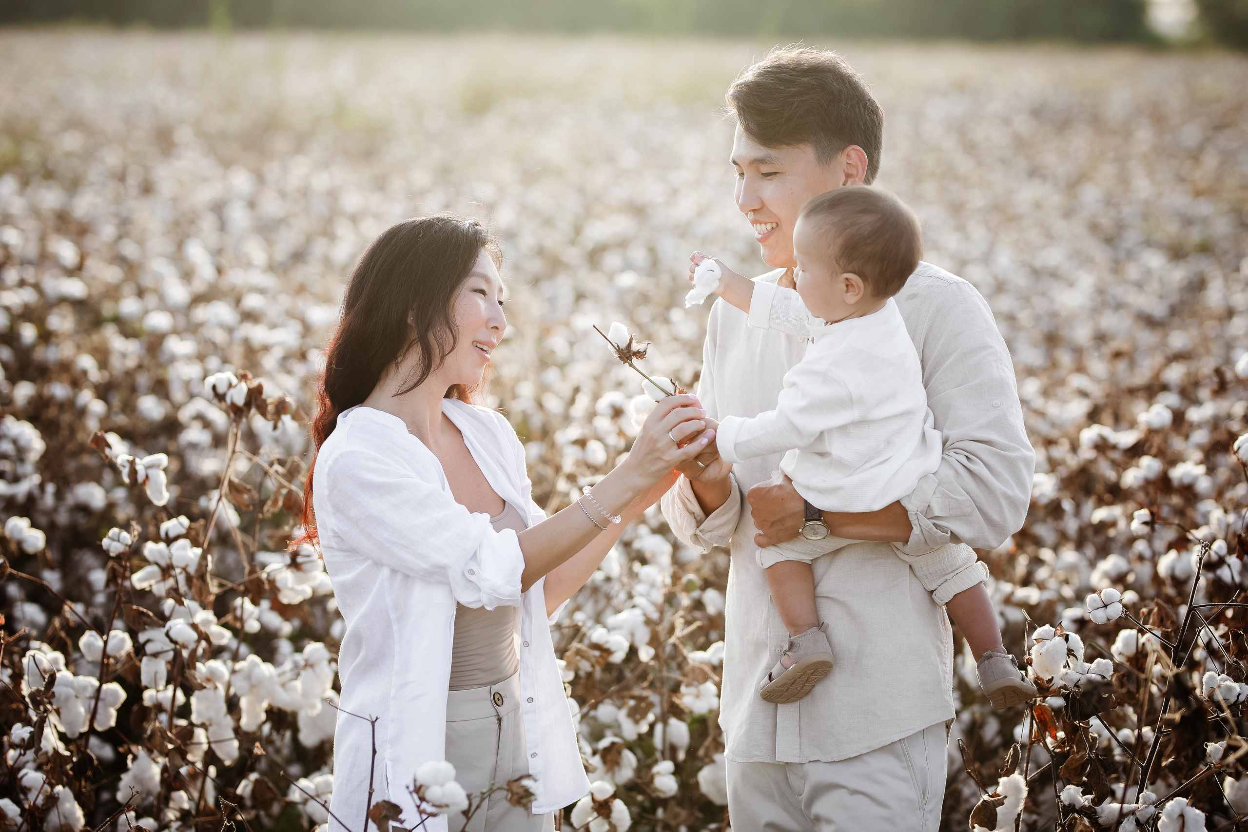 Photoshooting on cotton field