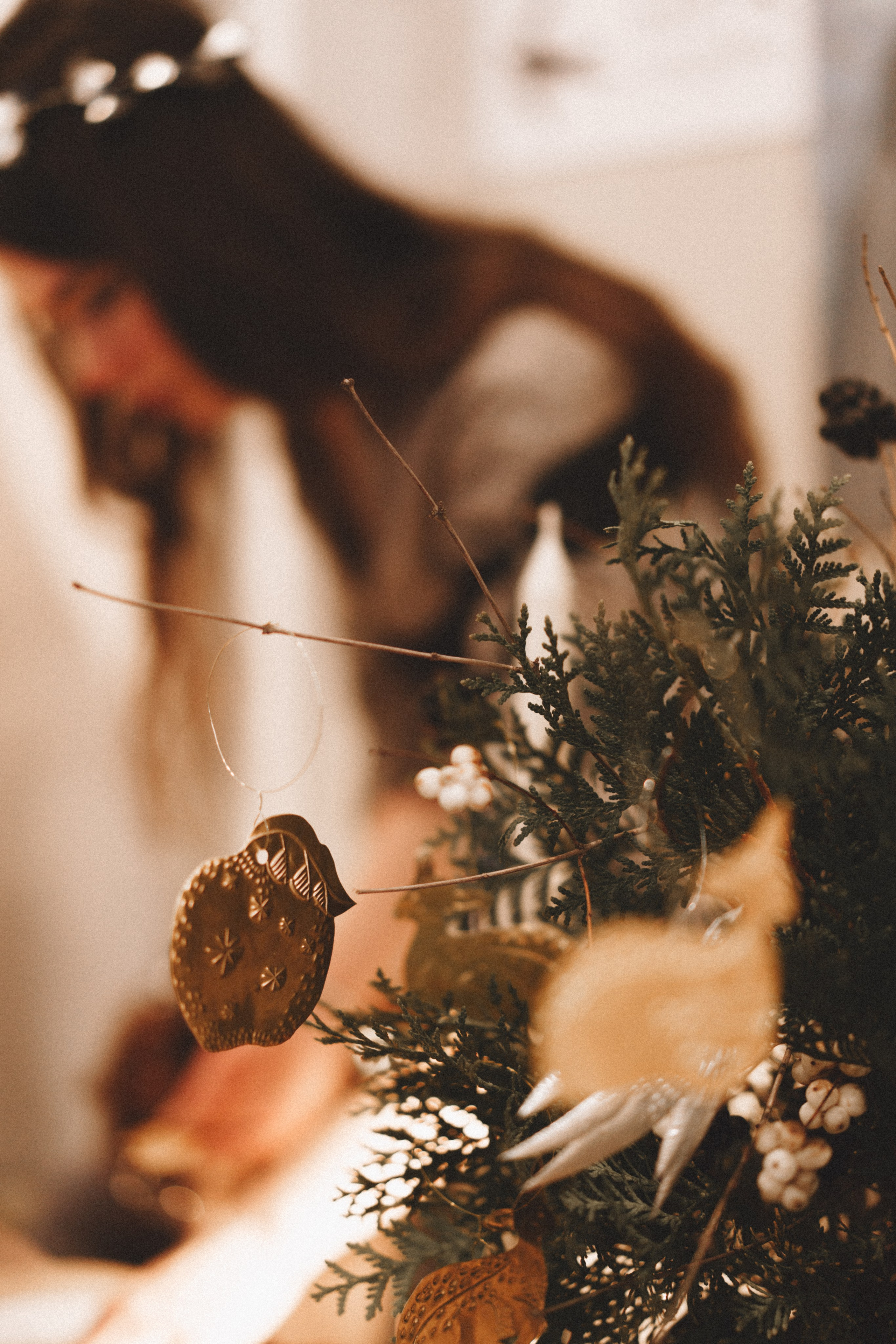 Новогодняя сказка в Momplayart. Семейный и детский фотограф и видеограф в Москве, Серпухове и Тарусе Валерия Сорокина