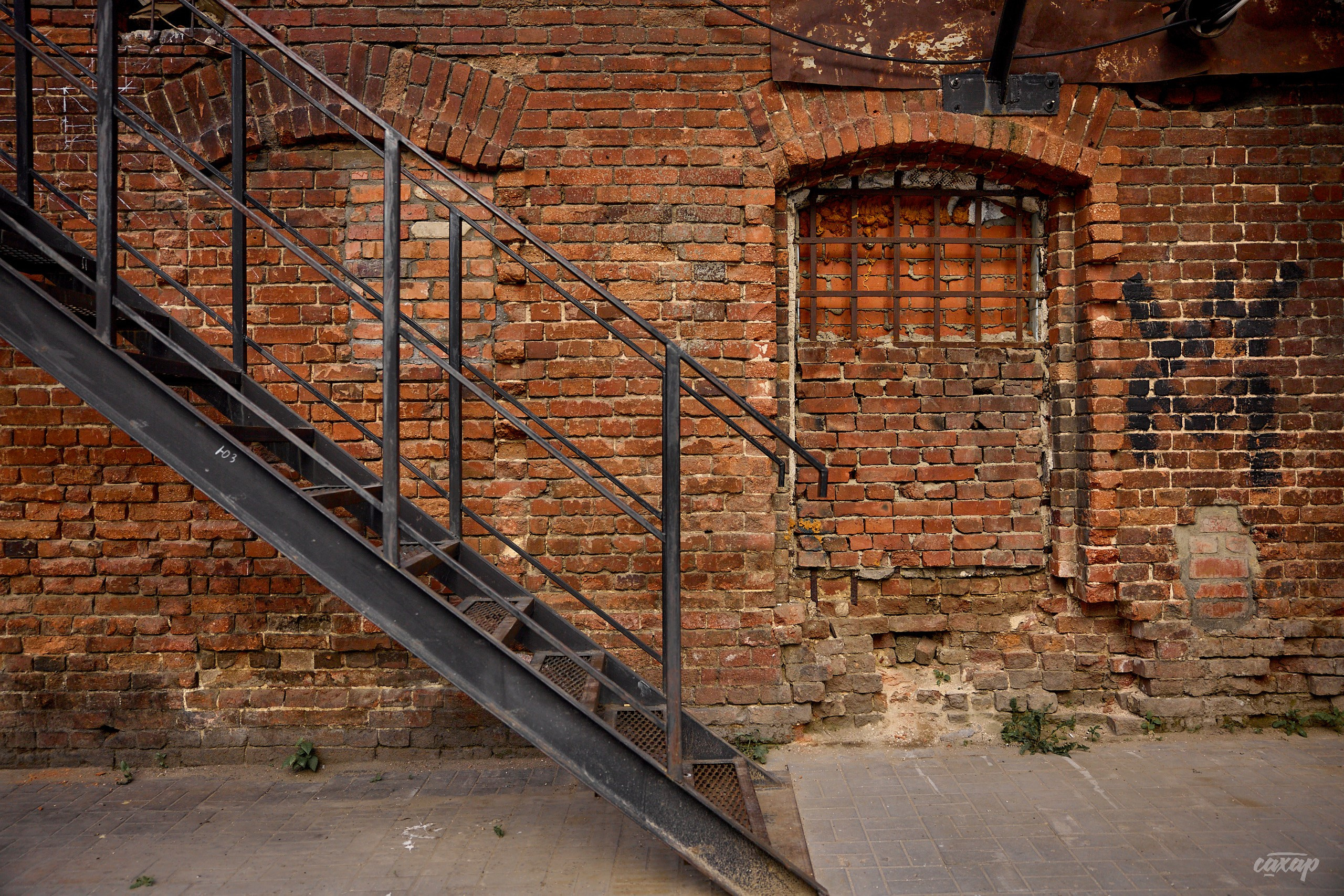 Не чай с Сахаром от 2024_06_18. Профессиональный фотограф в Екатеринбурге Юра Сахар