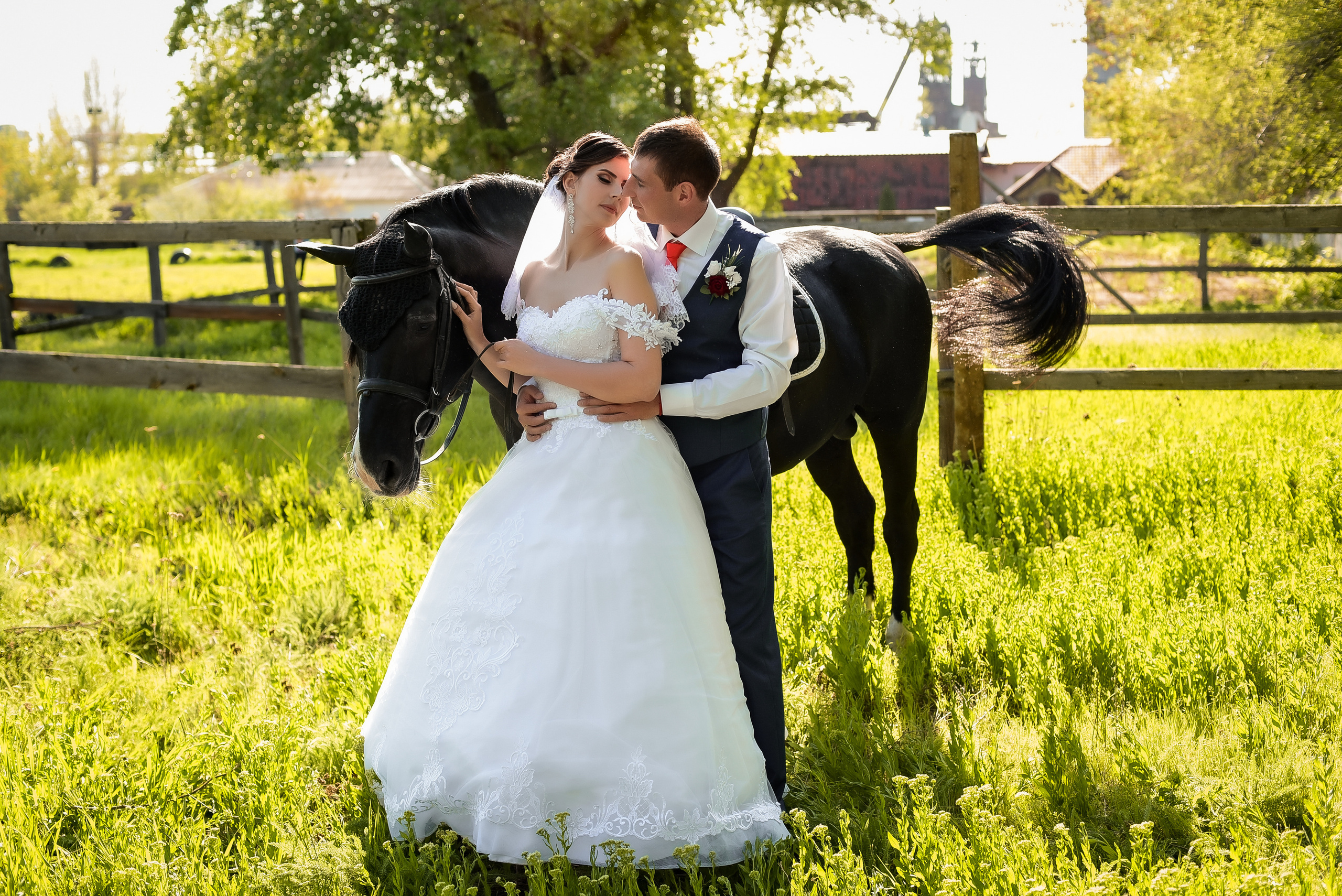 Съемка на улице. Семейный и свадебный фотограф в Донецке Донская Анастасия