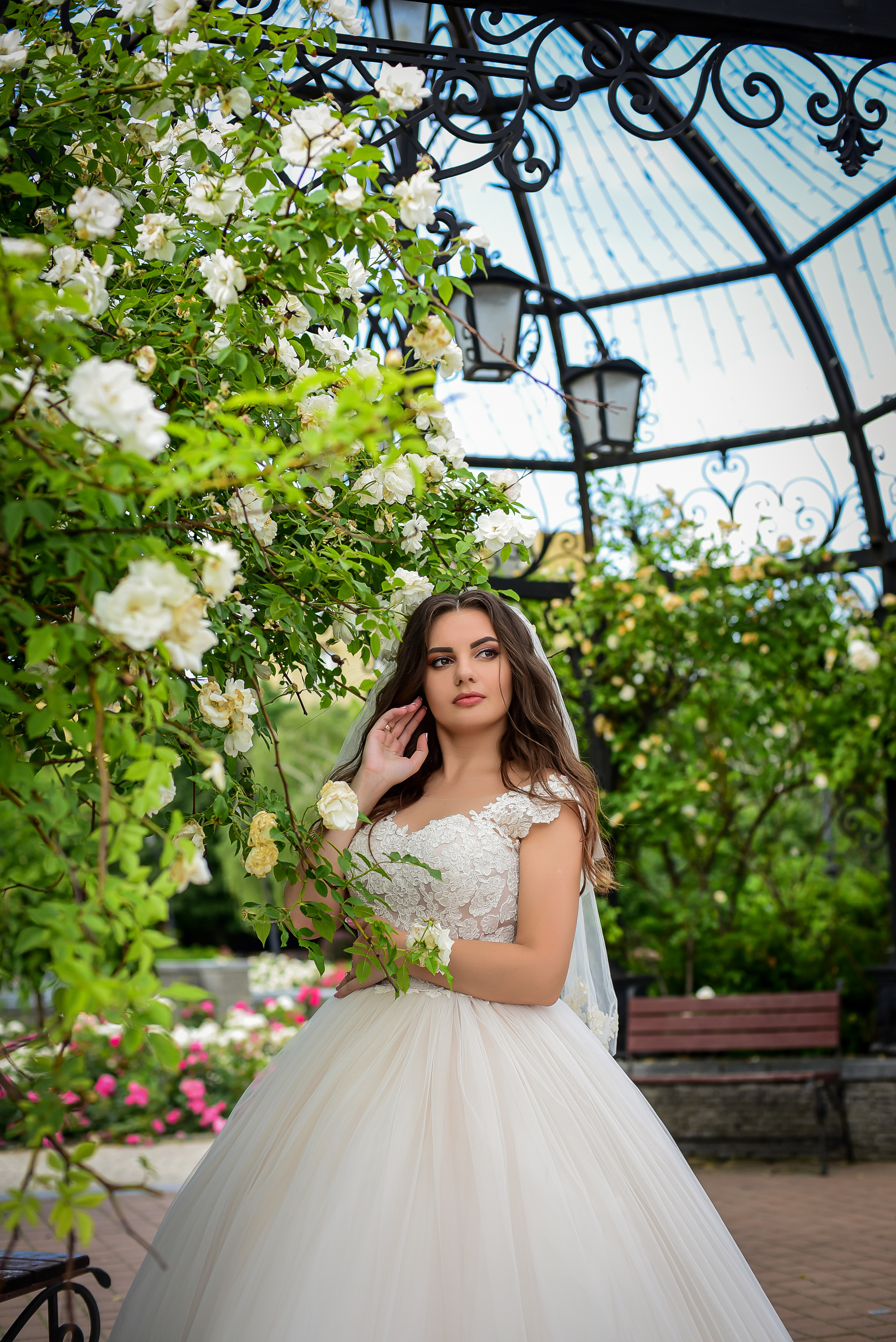 Съемка на улице. Семейный и свадебный фотограф в Донецке Донская Анастасия