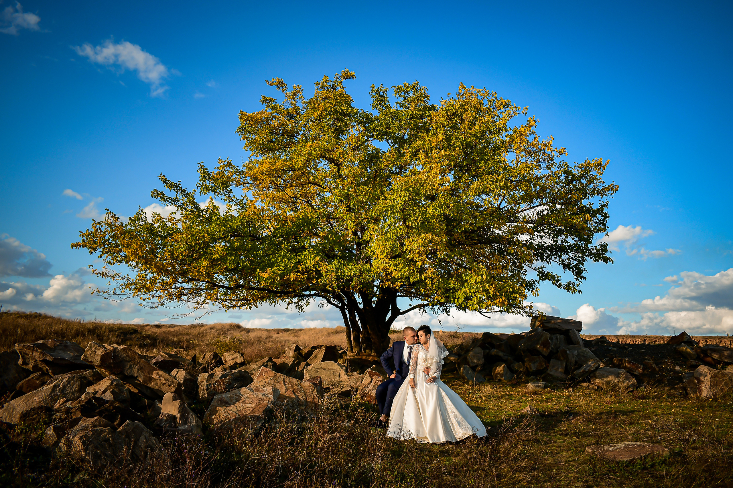 Съемка на улице. Семейный и свадебный фотограф в Донецке Донская Анастасия