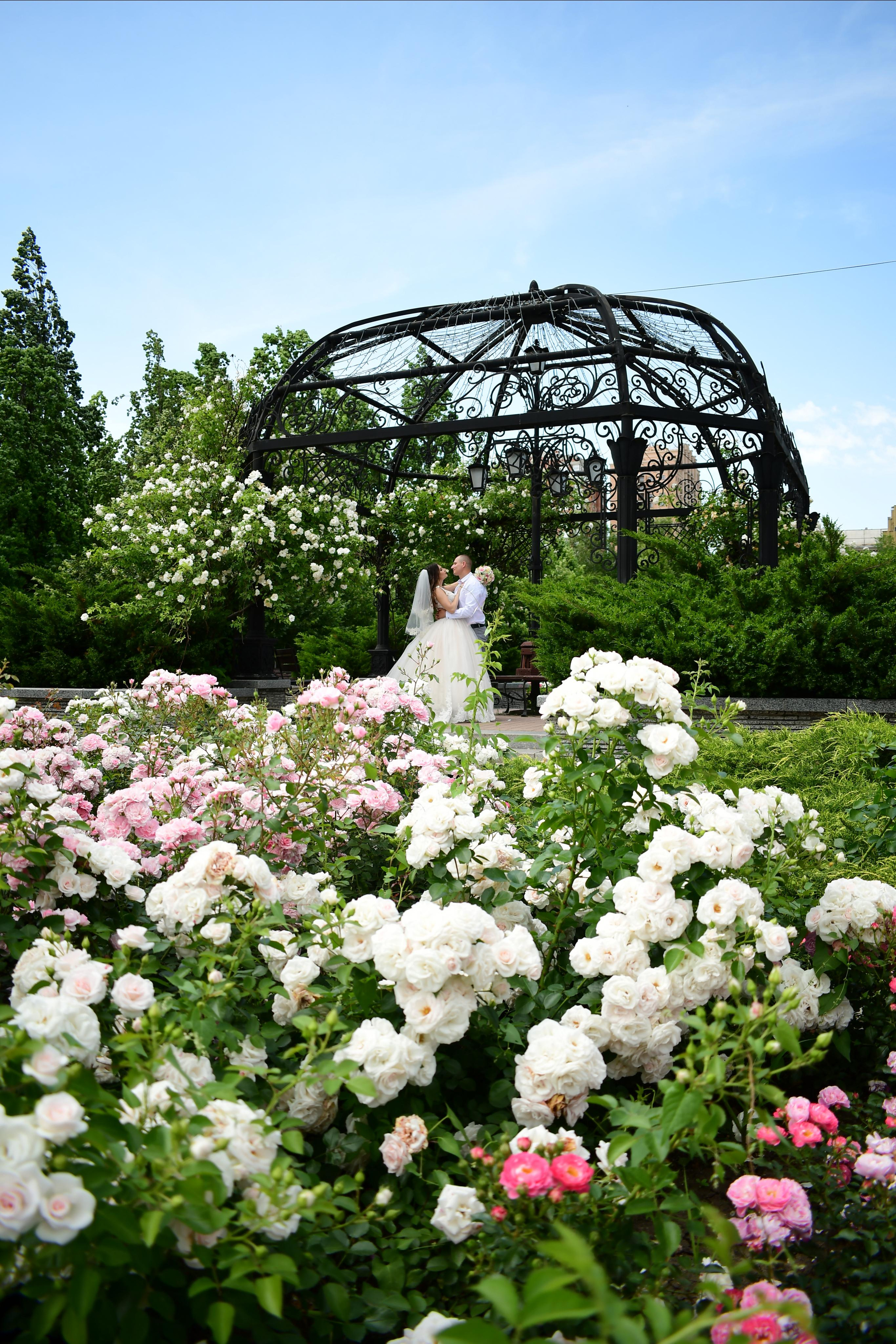 Съемка на улице. Семейный и свадебный фотограф в Донецке Донская Анастасия