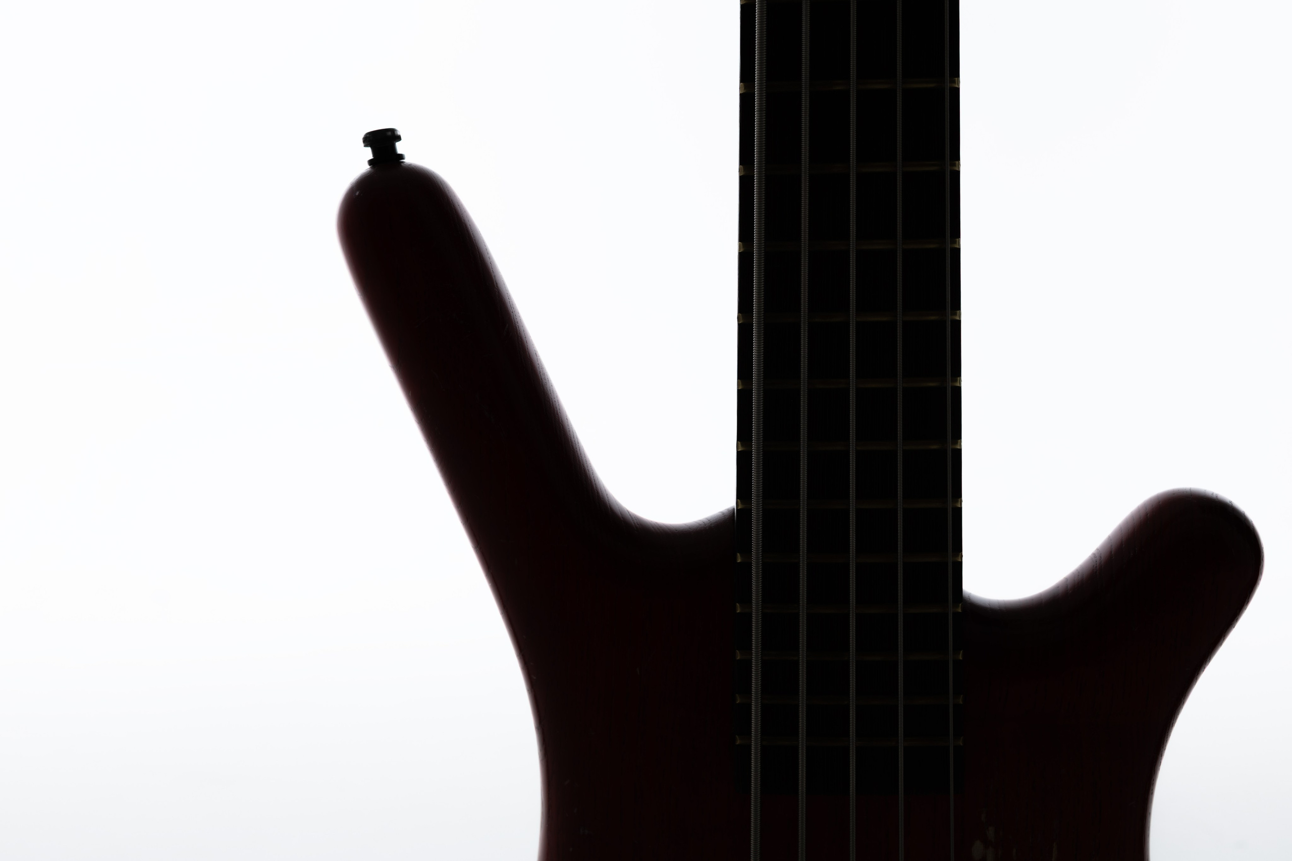 Фотосессия для басиста. Алексей Лещенко