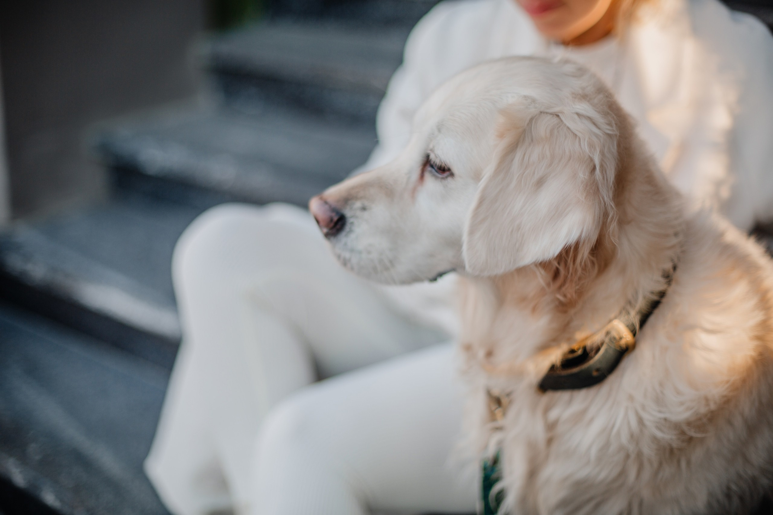 Про фотографа ❤. Фотограф Алёна Дарьина