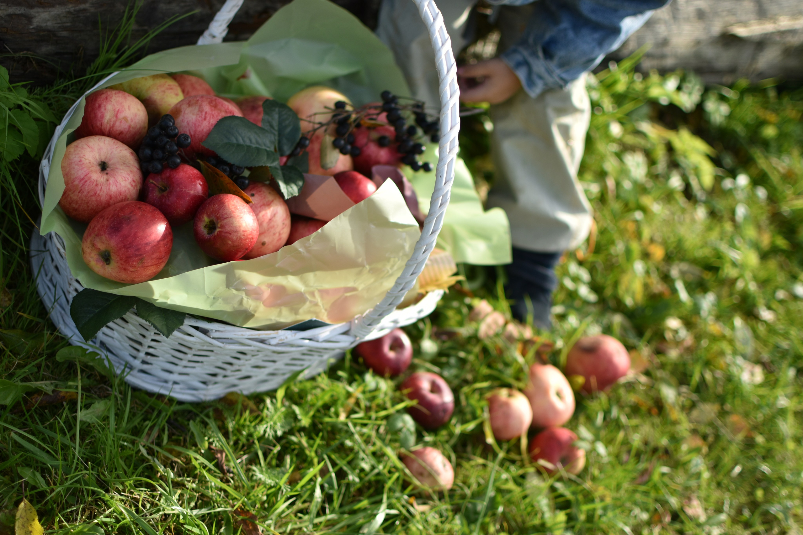 Детские съемки. Семейный фотограф в Красногорске и Лобне — Мария Бесштанькина | Семейные фотосессии