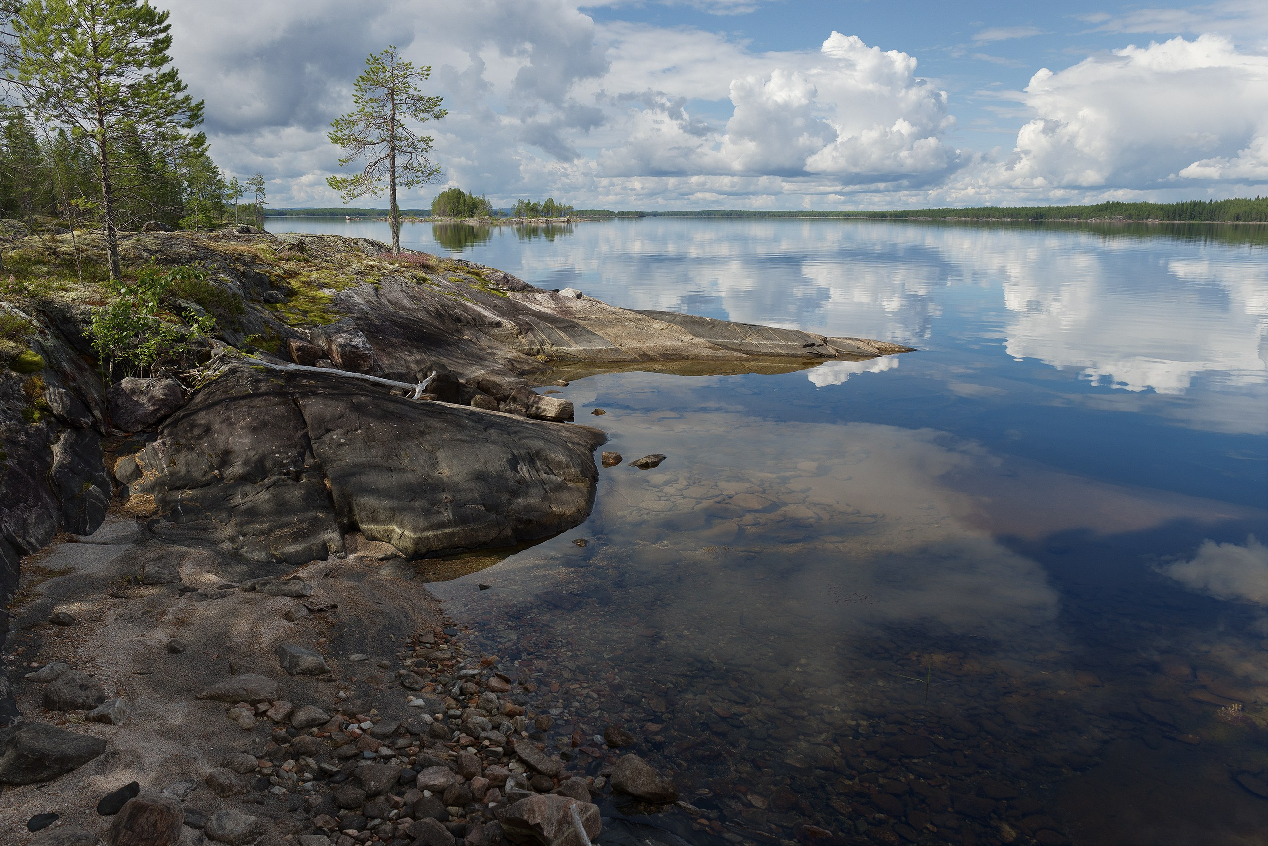 Пейзажи. Сайт фотографа Елены Михайловой. Фотосессии на пленэре в Сестрорецке