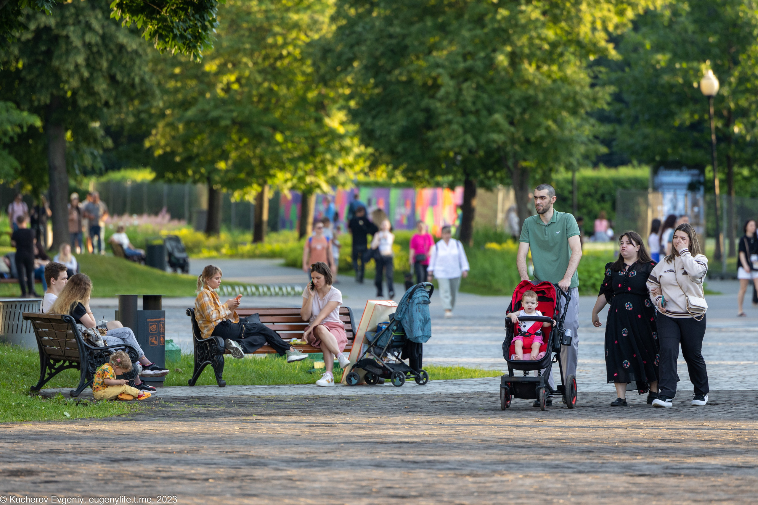 Скамейки. Кучеров Евгений. Фотограф