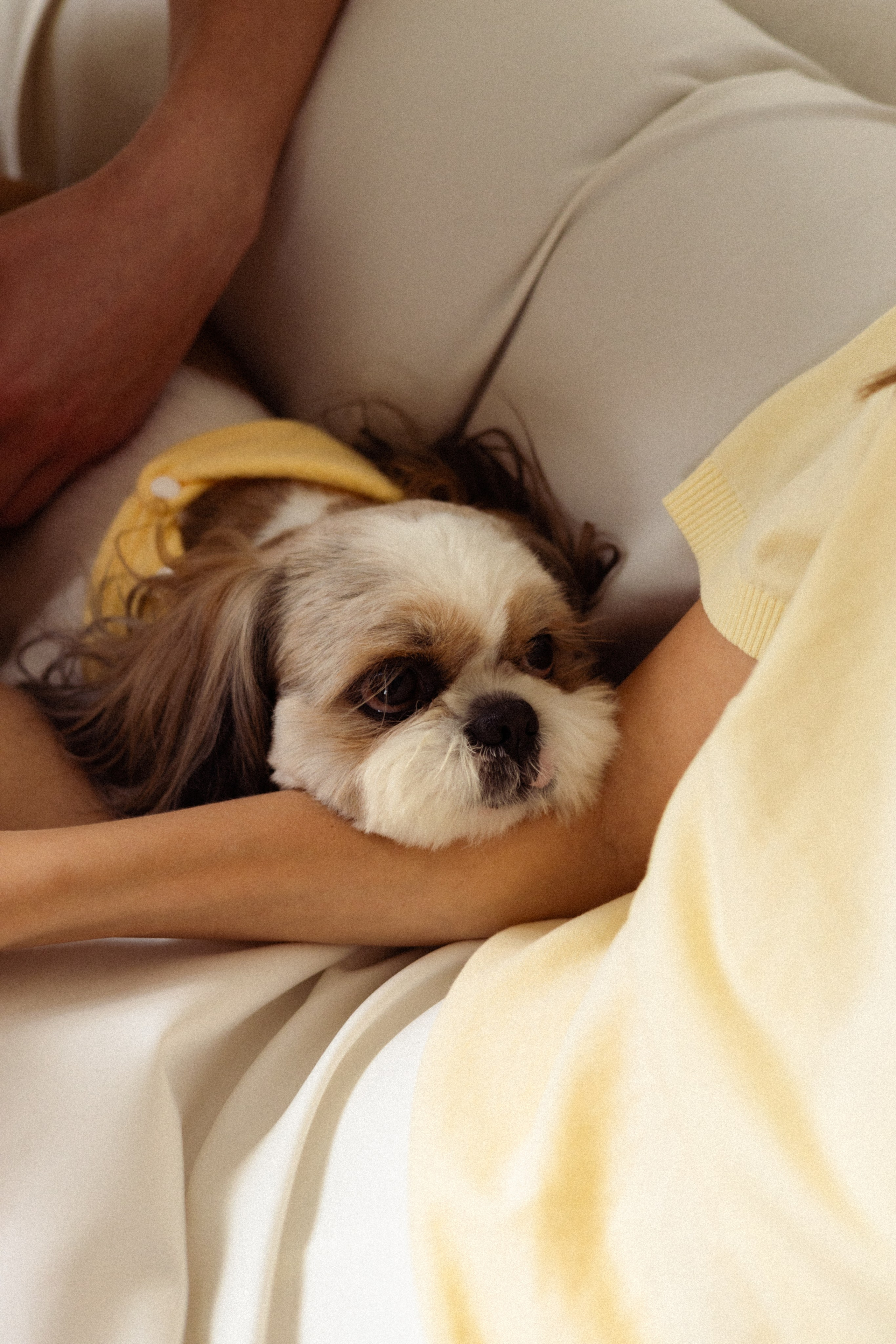 Настя, Саша и Рома. Фотограф в Нижнем Новгороде Воробьева Анжела