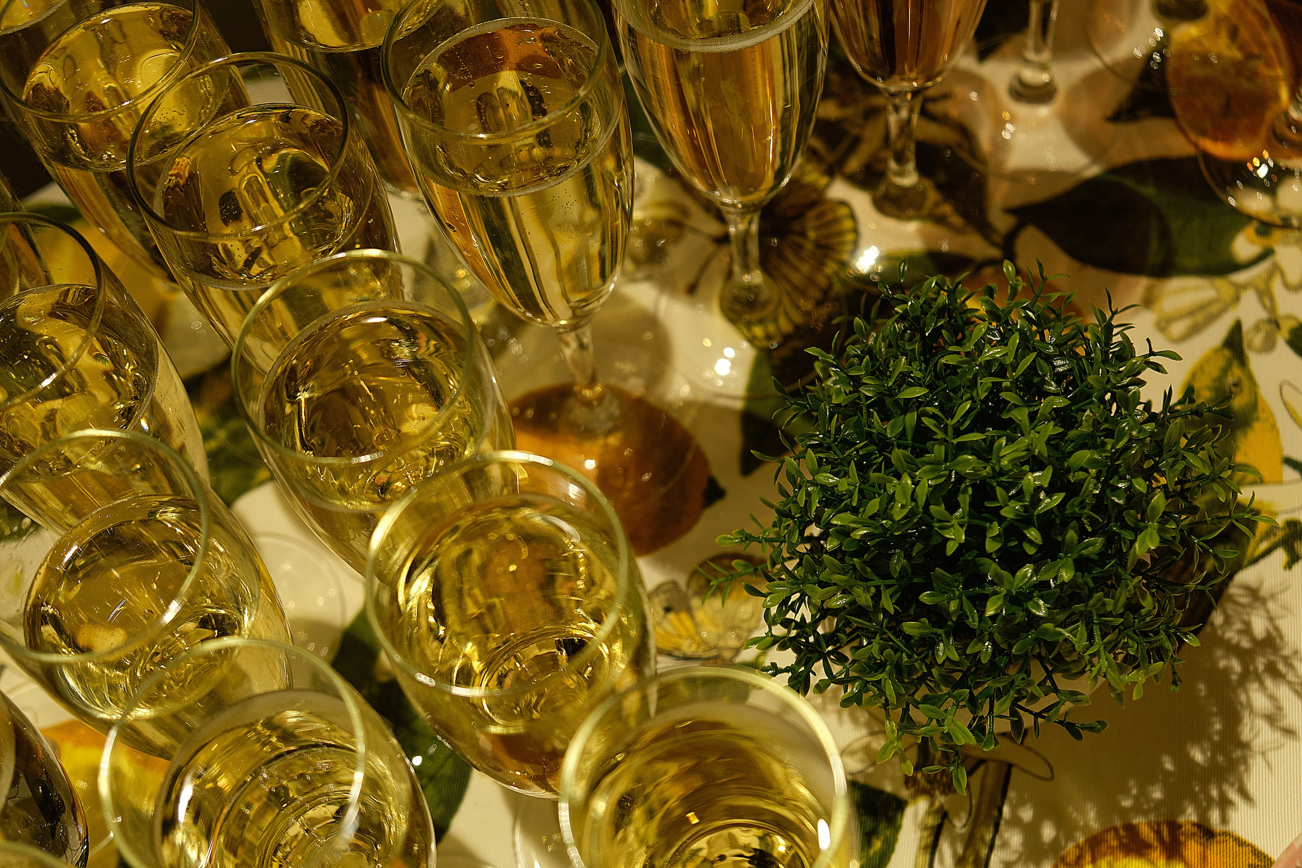 Светский репортаж. Репортажный фотограф в Москве Денис Тамко