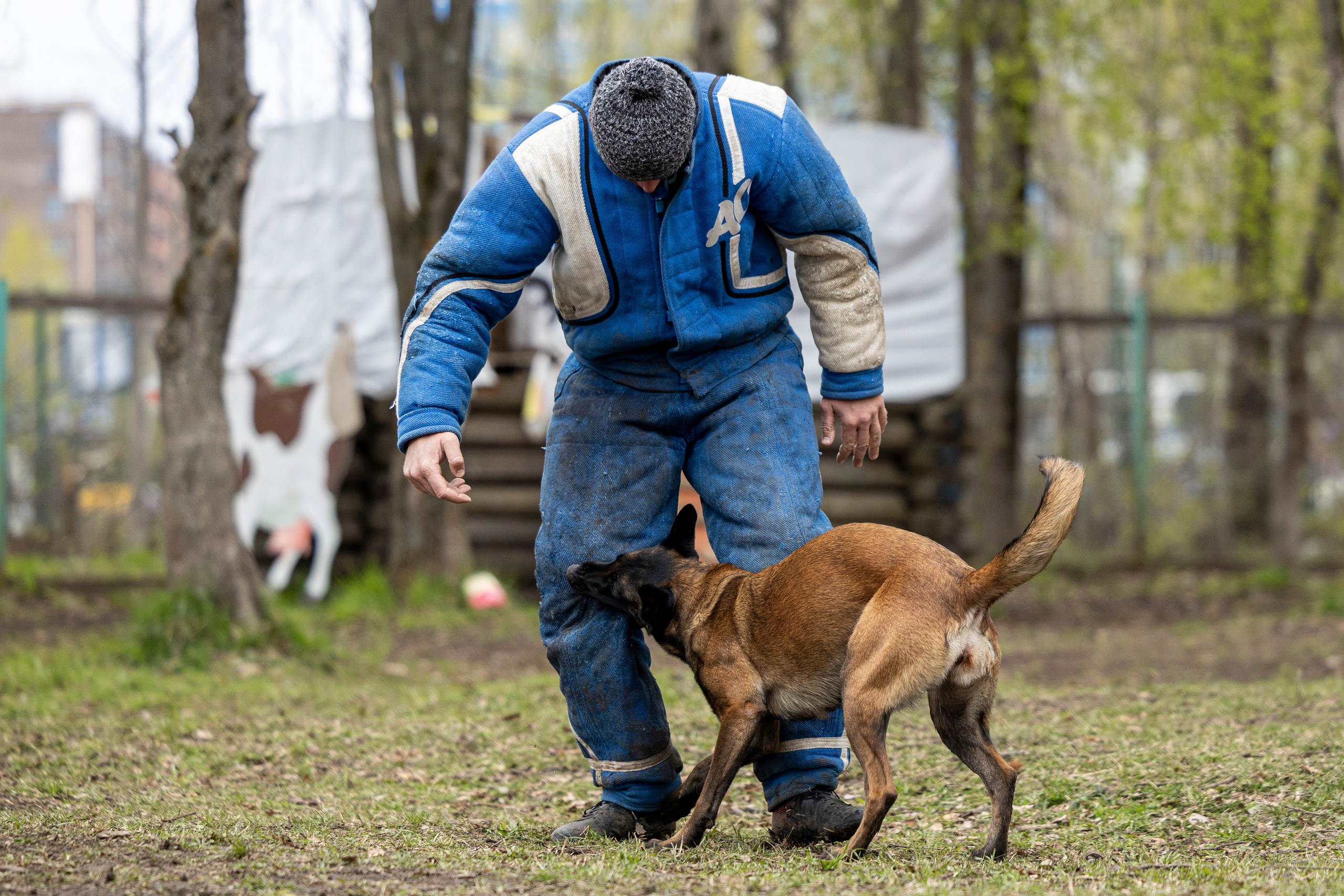 Квалификационные состязания по мондьорингу г. Вологда 11.05.24. Фотограф-анималист Анна Маринич