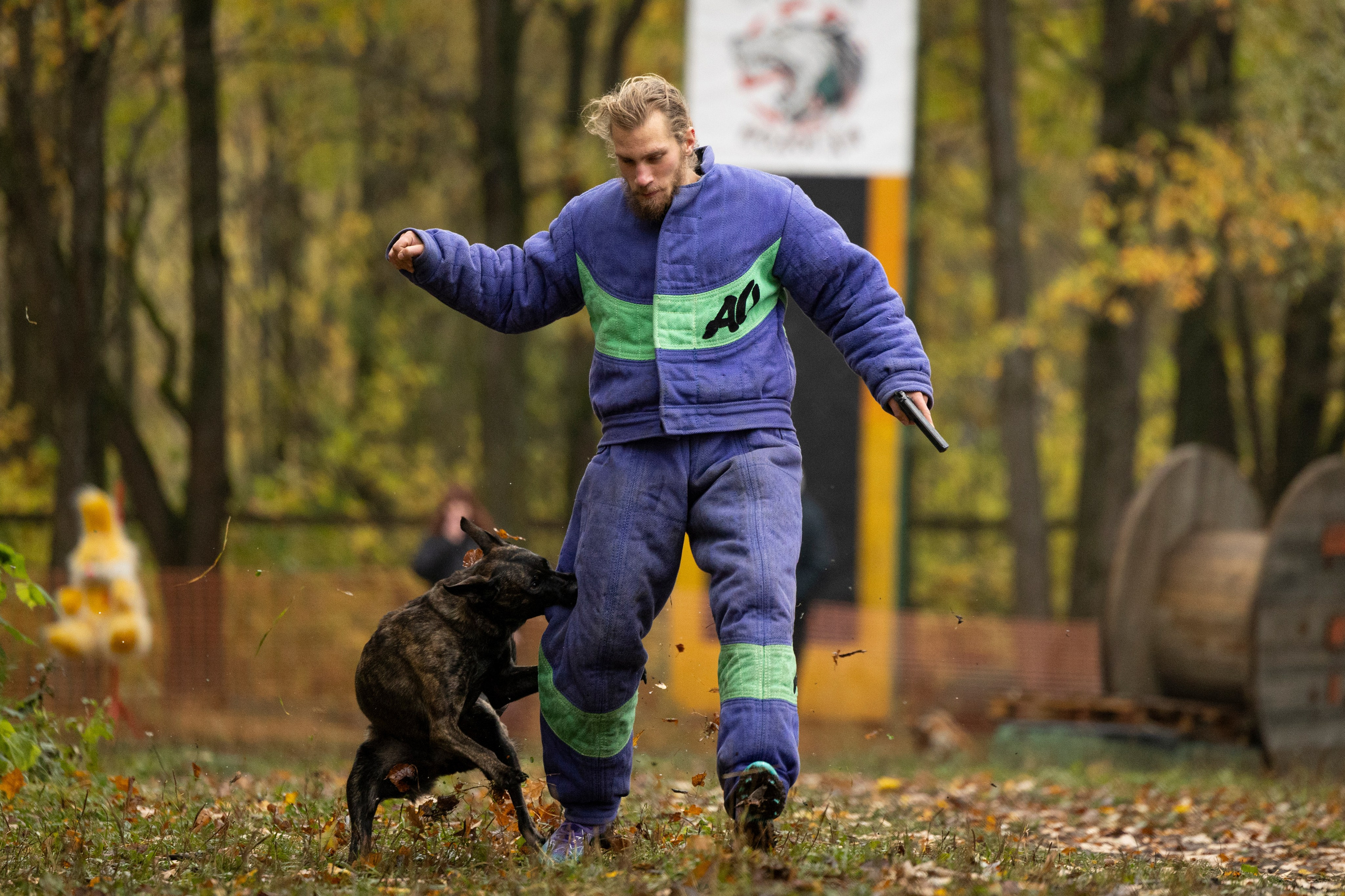 Соревнования по Мондьорингу г. Вологда. Фотограф-анималист Анна Маринич