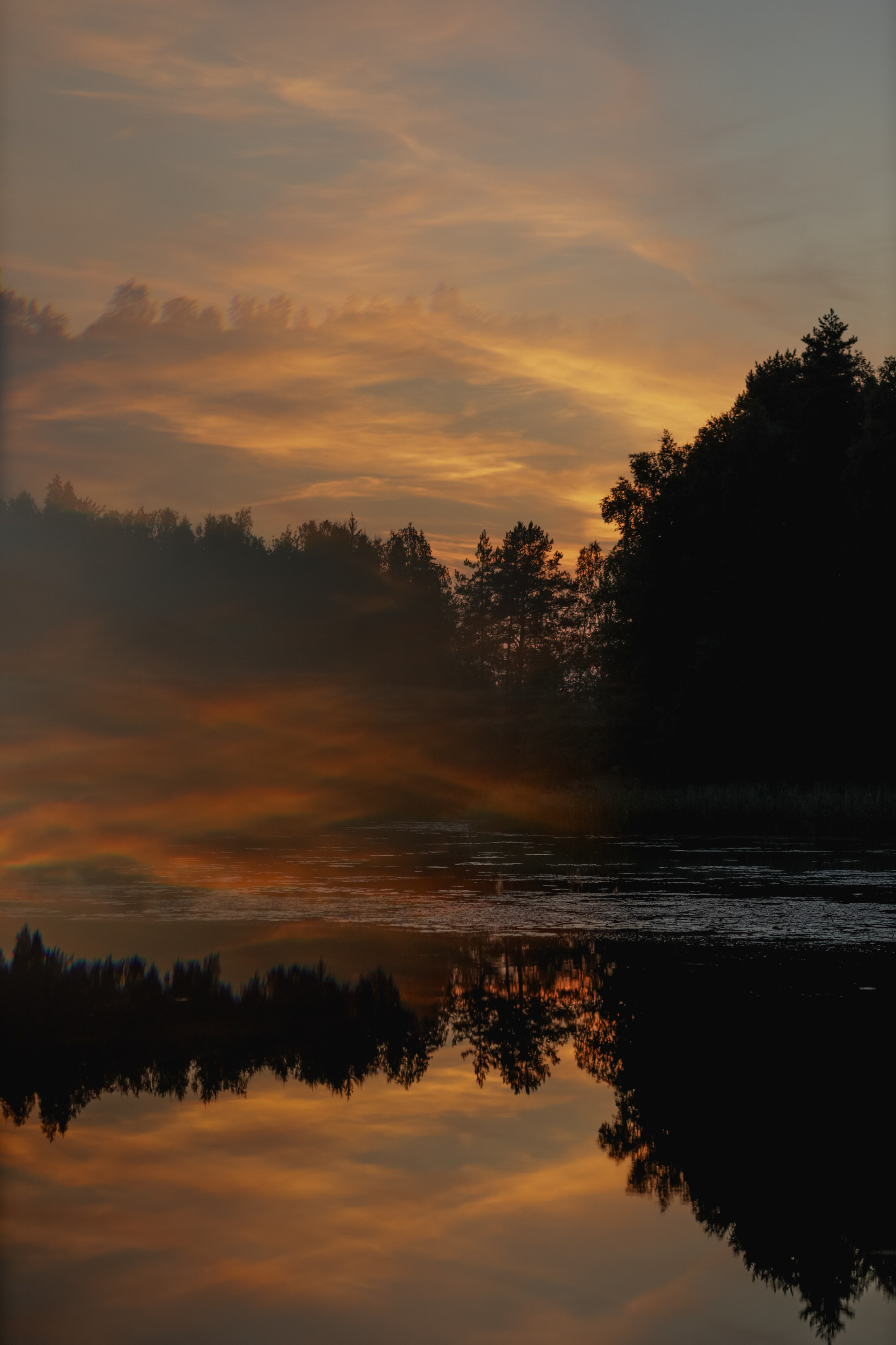 Природа &. Фотохудожник в СПб