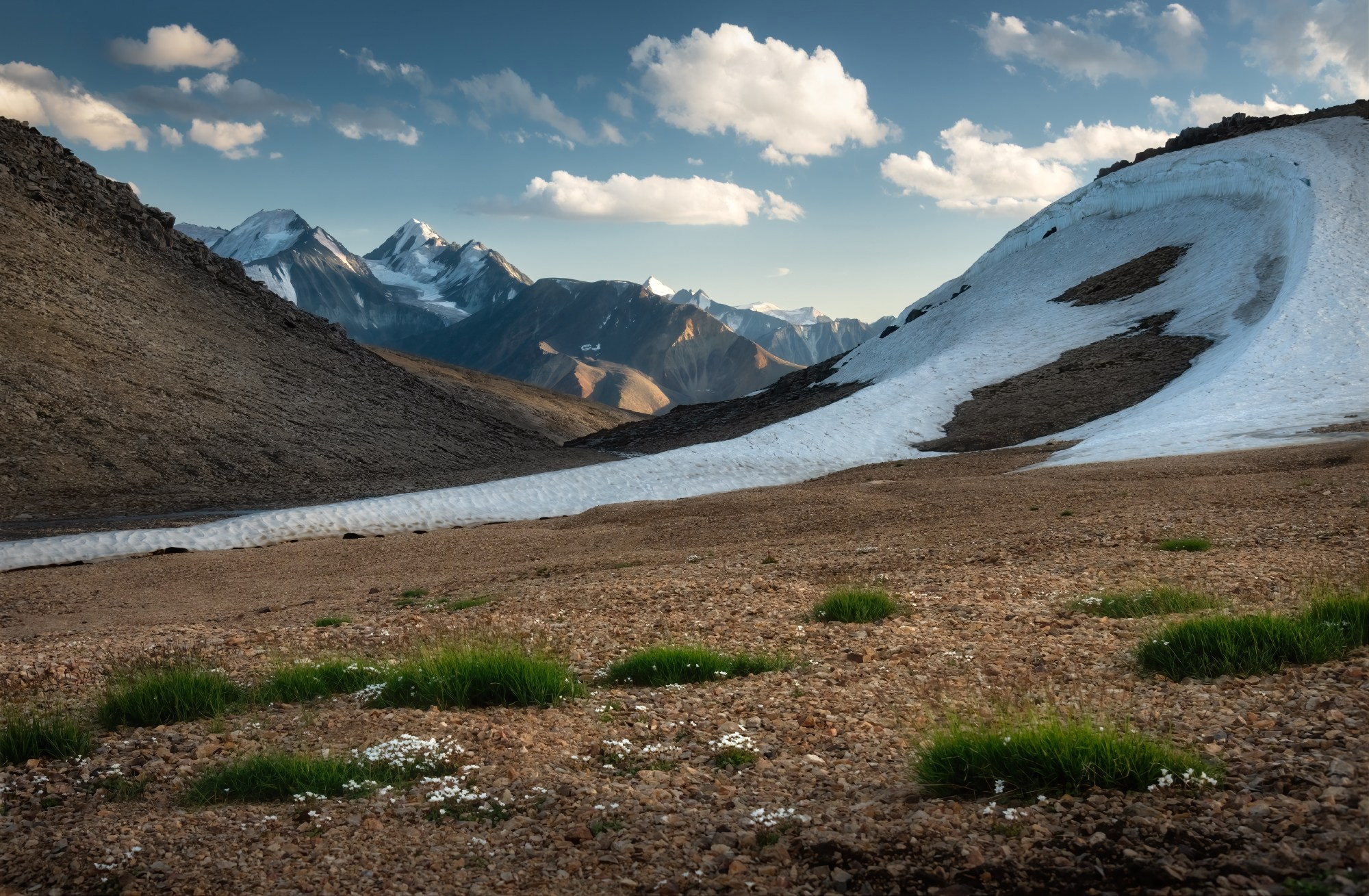 Здесь гуляет только ветер. Кош-Агачский район, август 2024