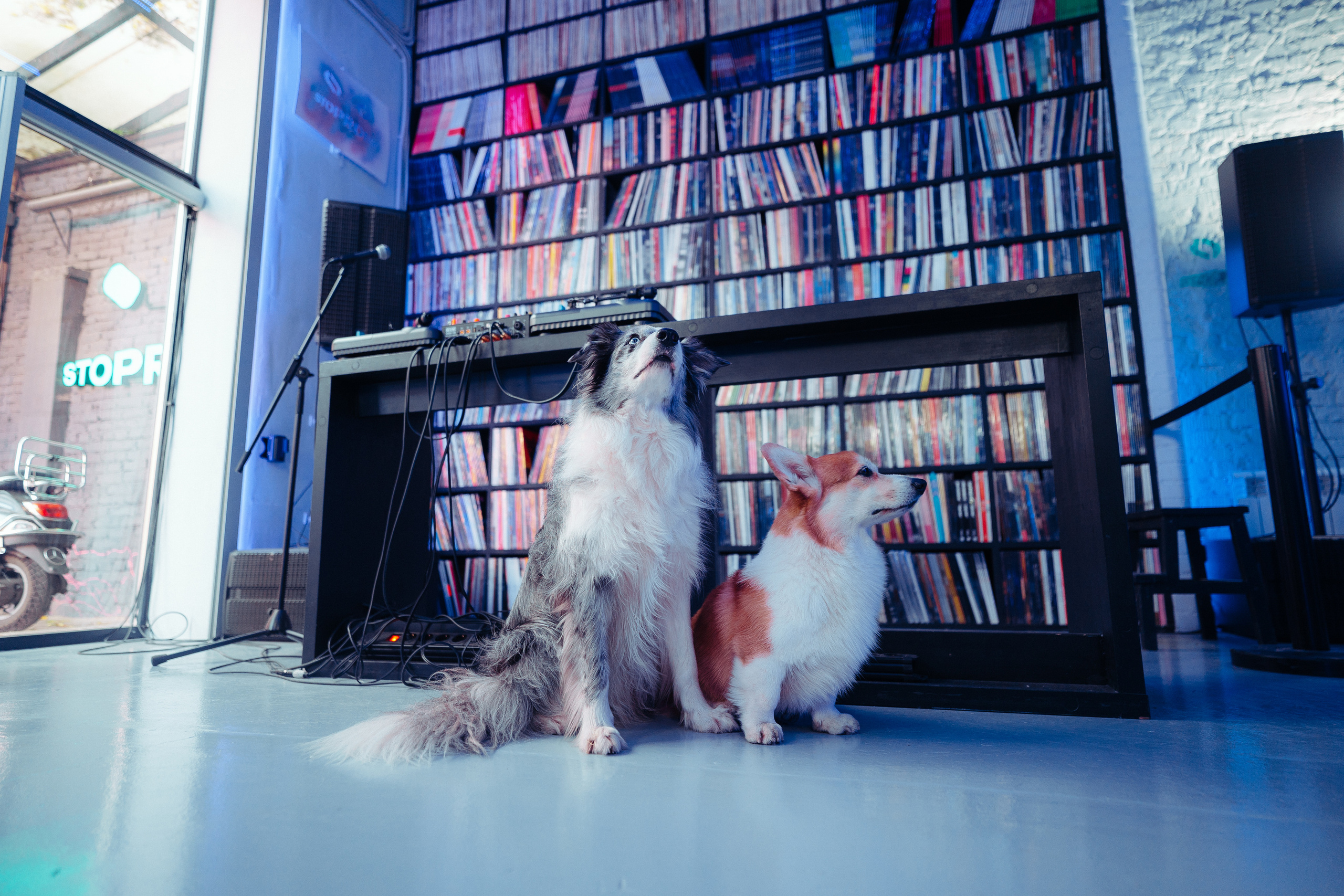 Stoprobot Vinyl II. @tomrus: Рустам Шагиморданов — фотограф