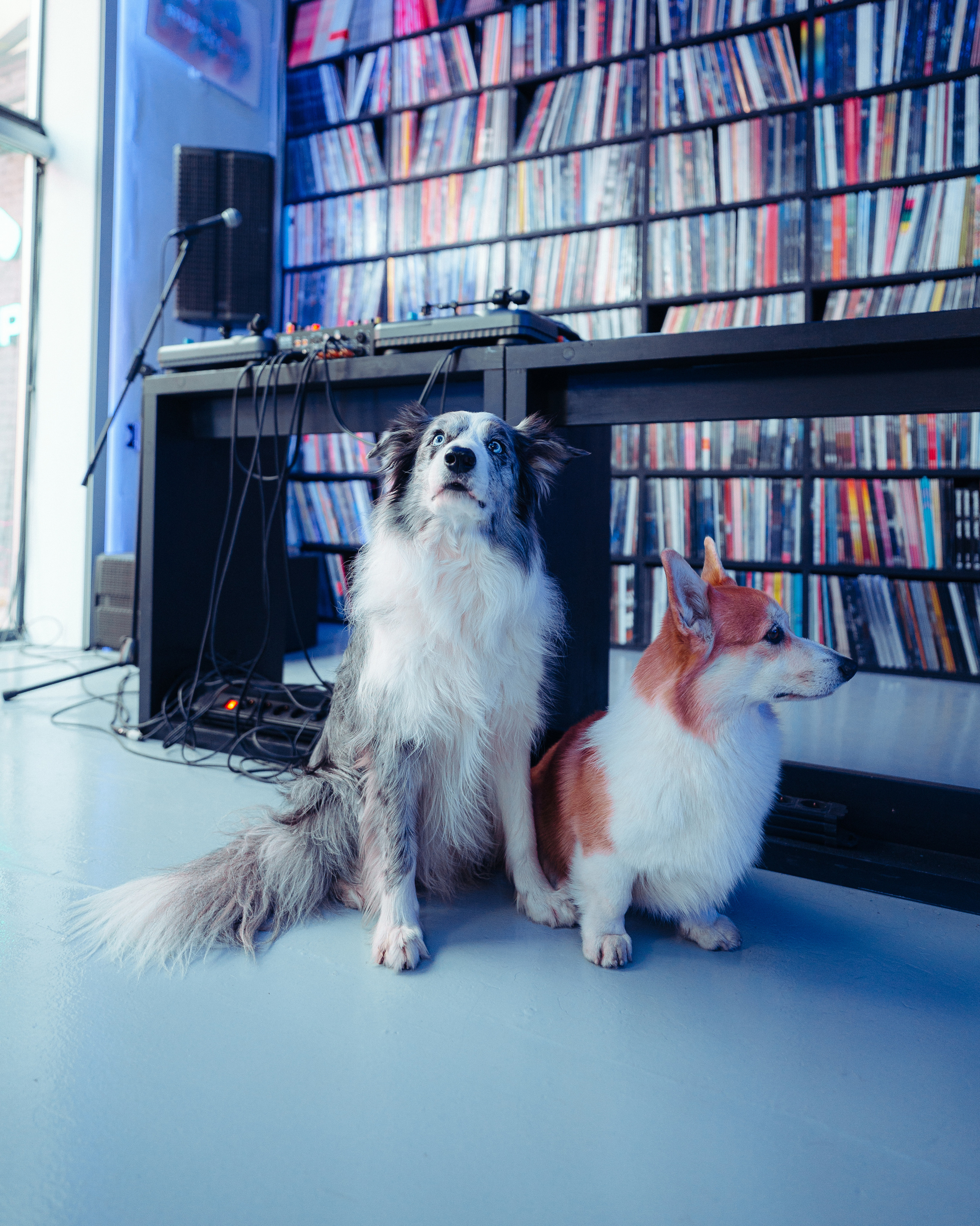 Stoprobot Vinyl II. @tomrus: Рустам Шагиморданов — фотограф