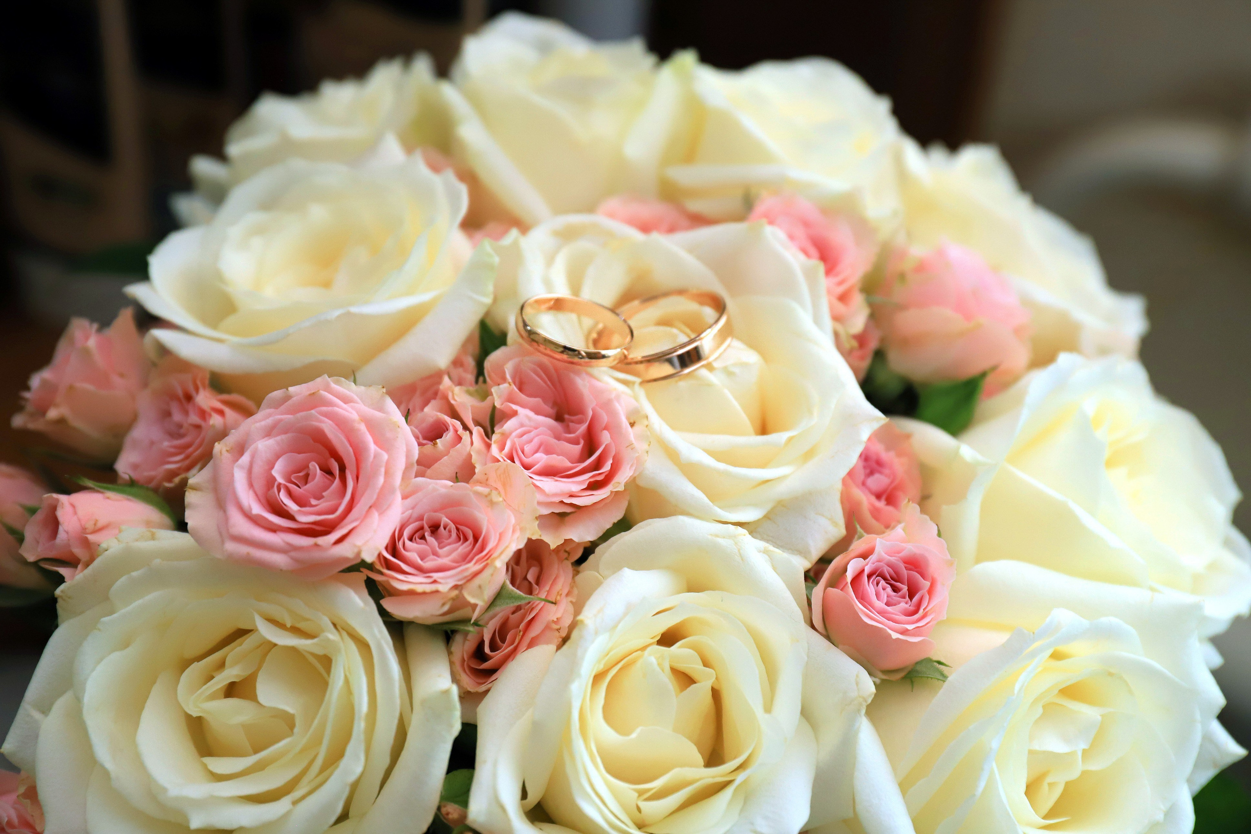 Андрей и Татьяна. Игорь Варава свадебный фотограф видеограф Белая Глина Краснодар