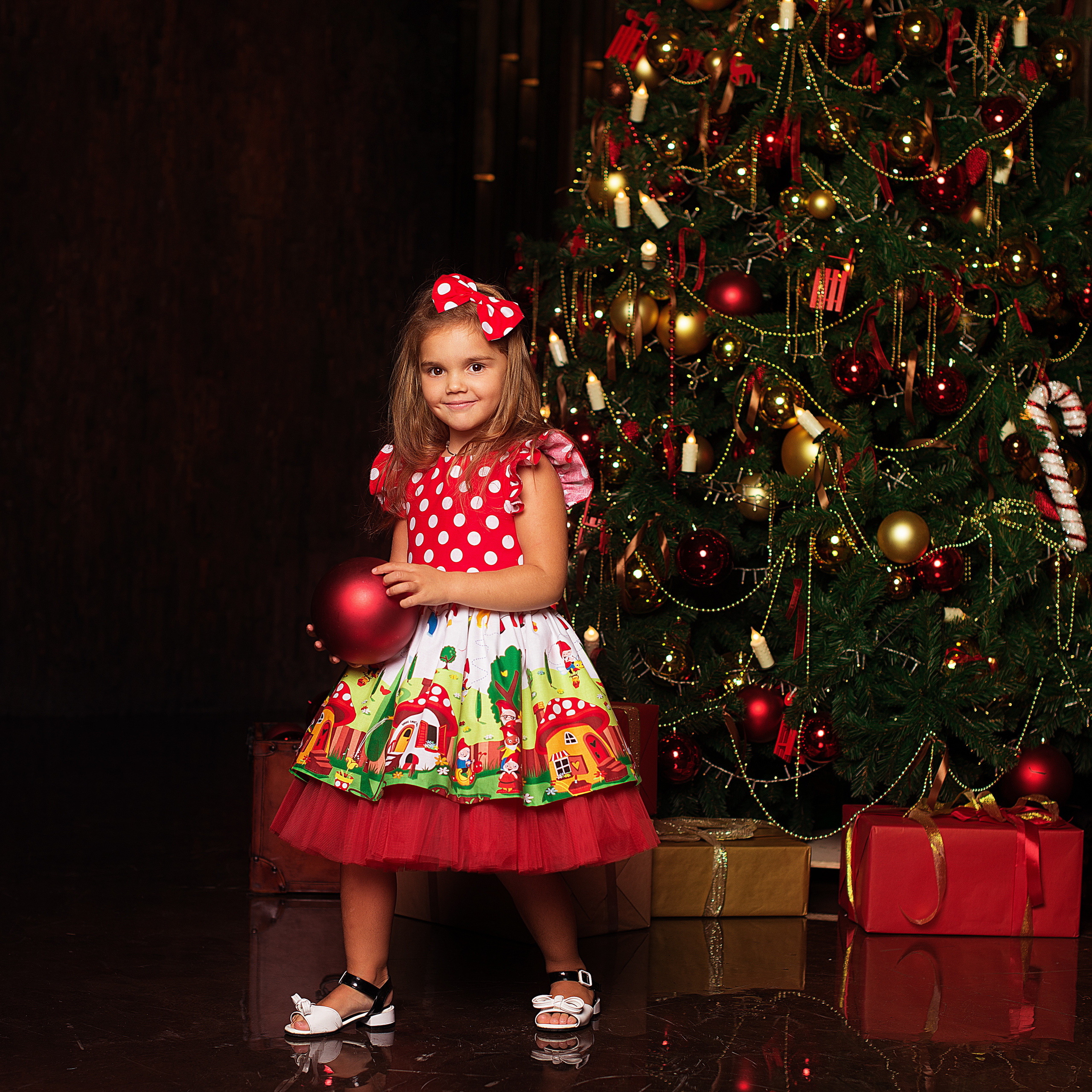 Щелкунчик. Фотограф Альбина Вакунова