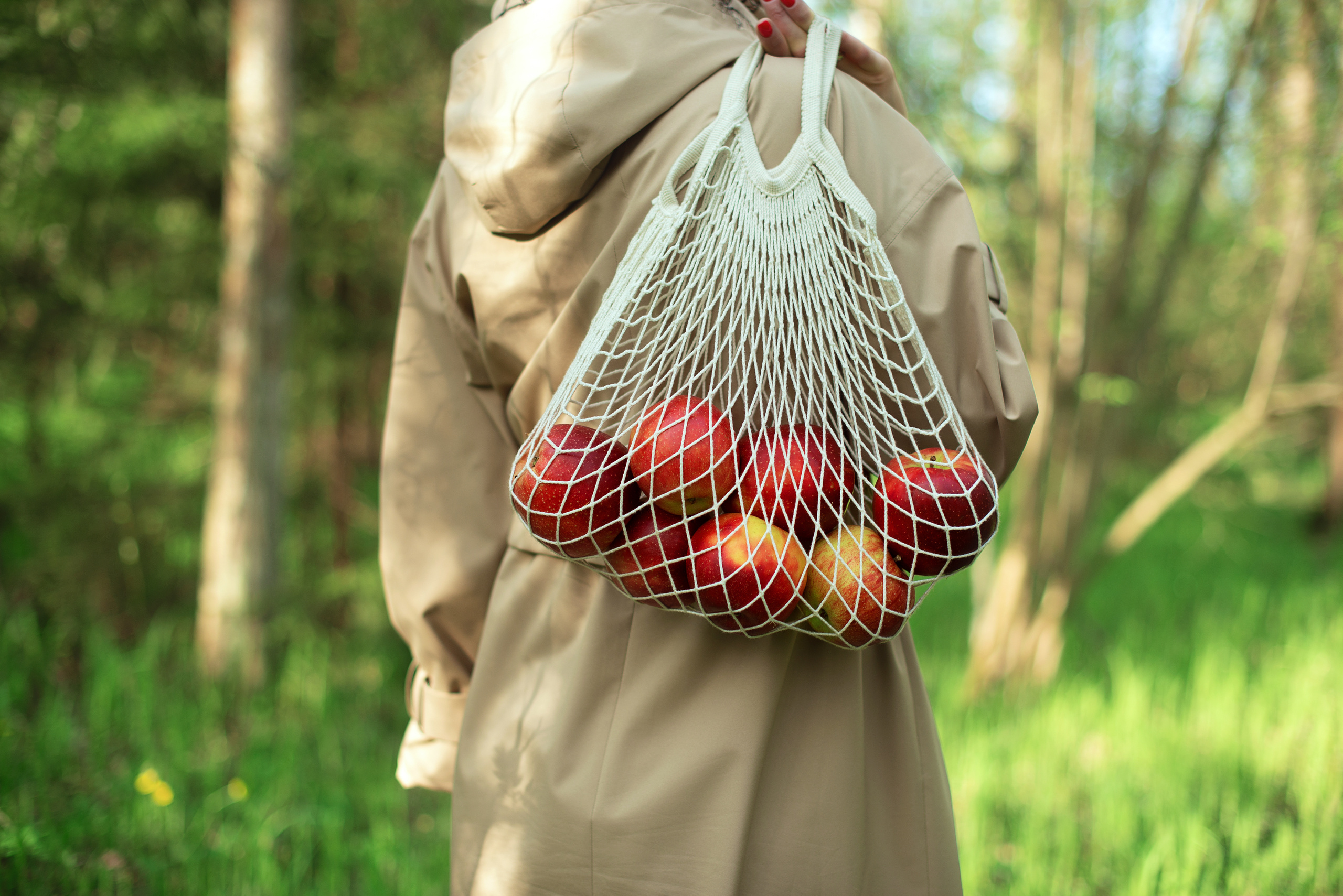 Свежесть весеннего леса. Фотограф Альбина Вакунова