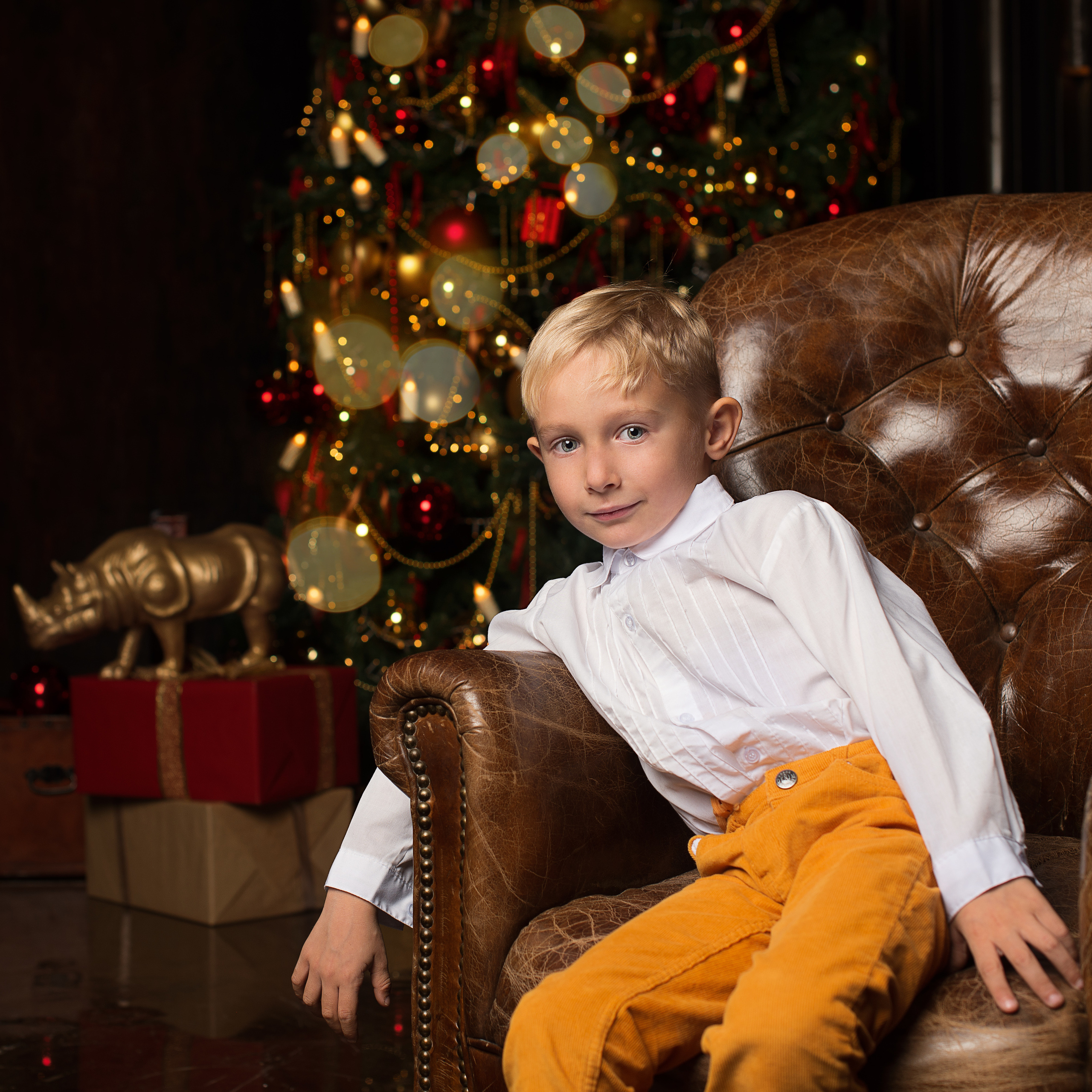 Щелкунчик. Фотограф Альбина Вакунова